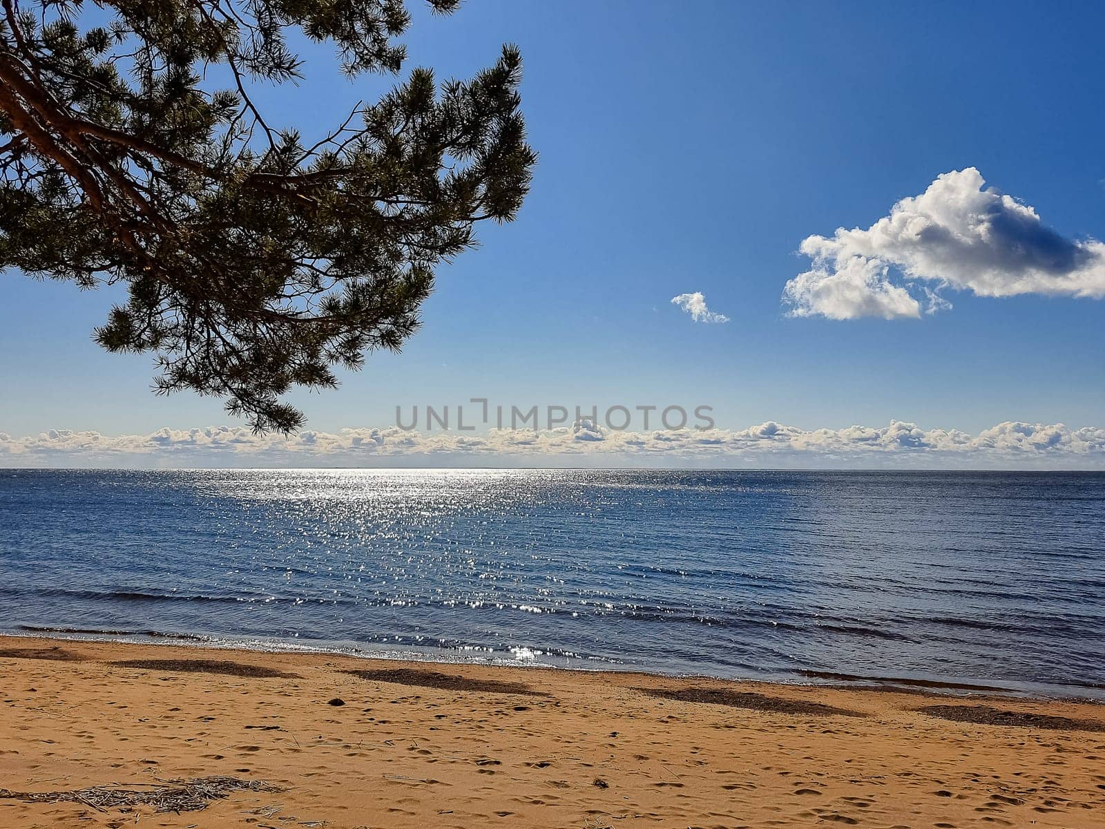 Aerial view of the Baltic Sea shore line near Klaipeda city, Lithuania. Beautiful sea coast on sunny summer day.