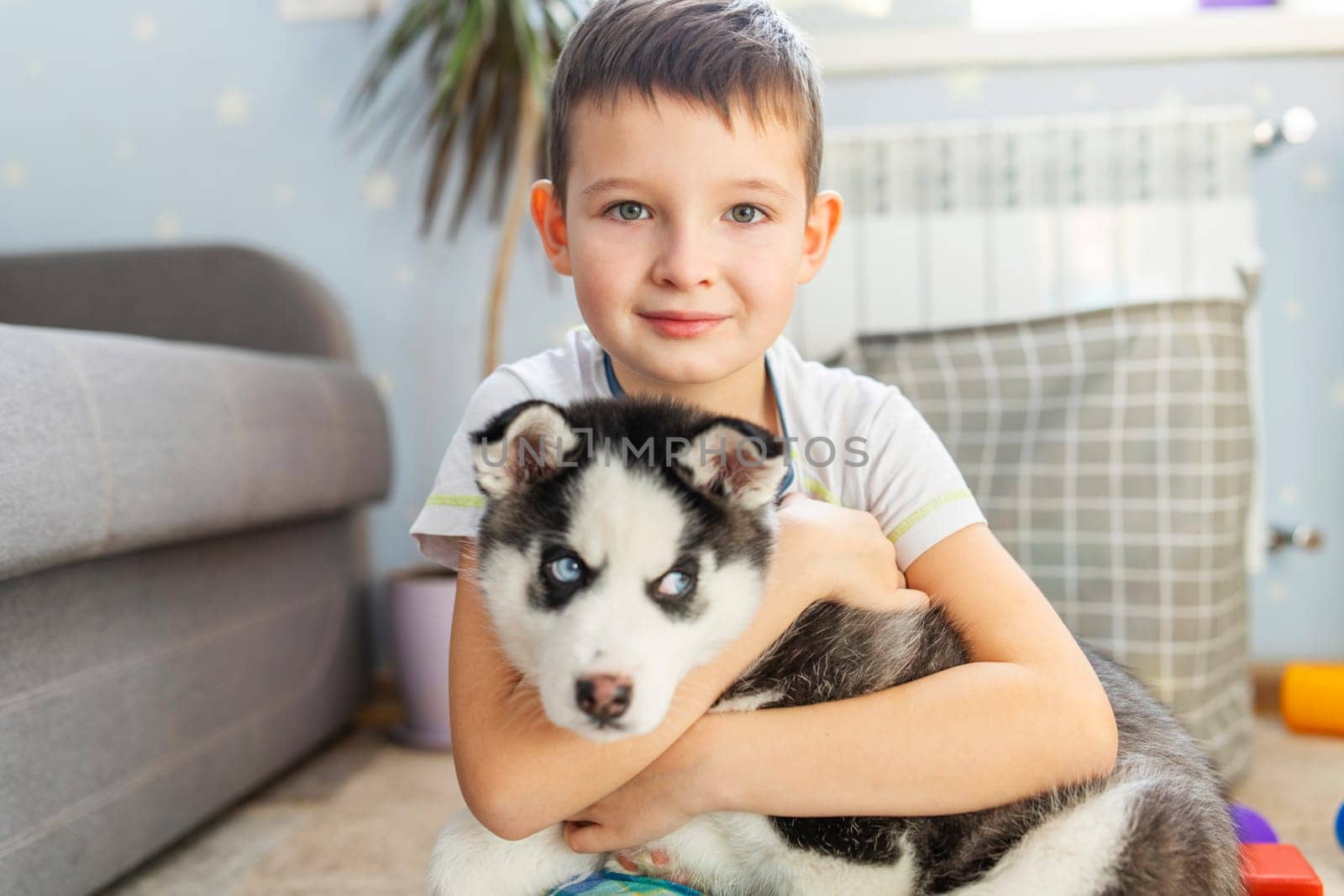 Cute child boy hugging a puppy of siberian husky dog sitting on the floor by andreyz