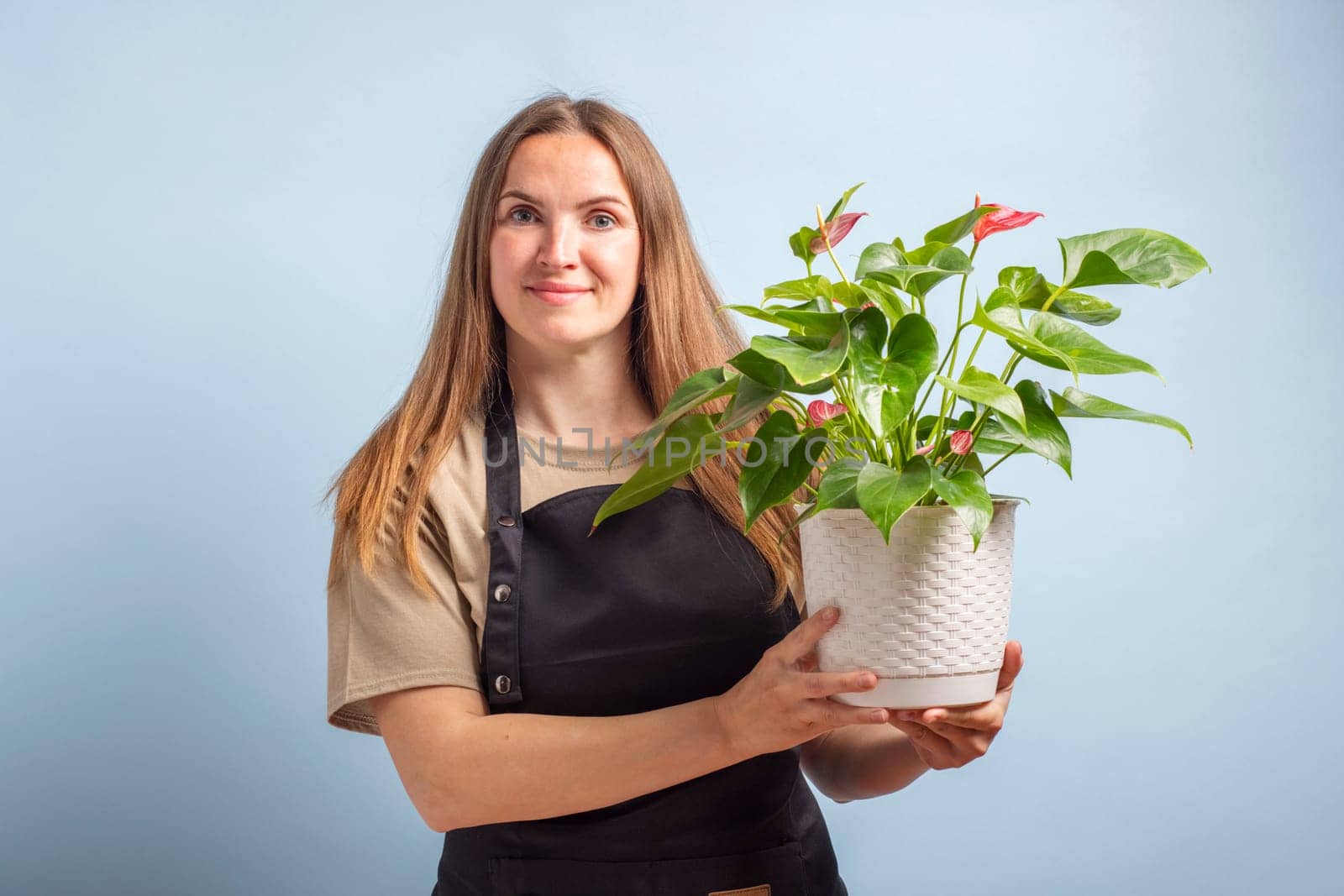 Young beautiful woman holding a flower in pot with happy expression on blue background.