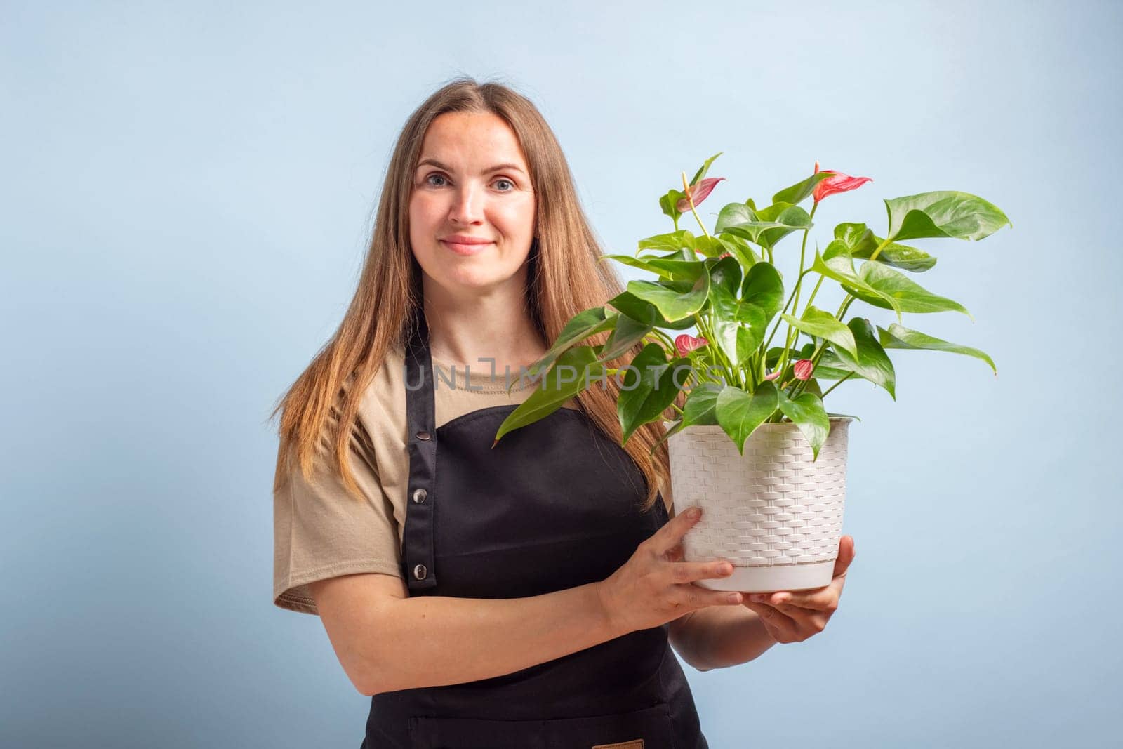 Woman holding a flower in pot with happy expression on blue background by andreyz