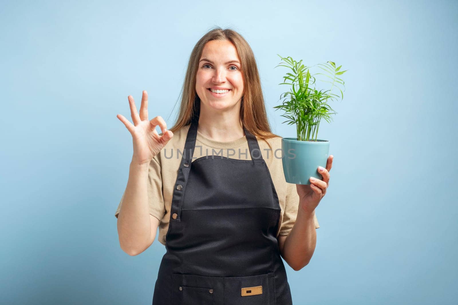 Brunette gardener woman holding flower in white pot on blue background showing an ok sign with fingers.