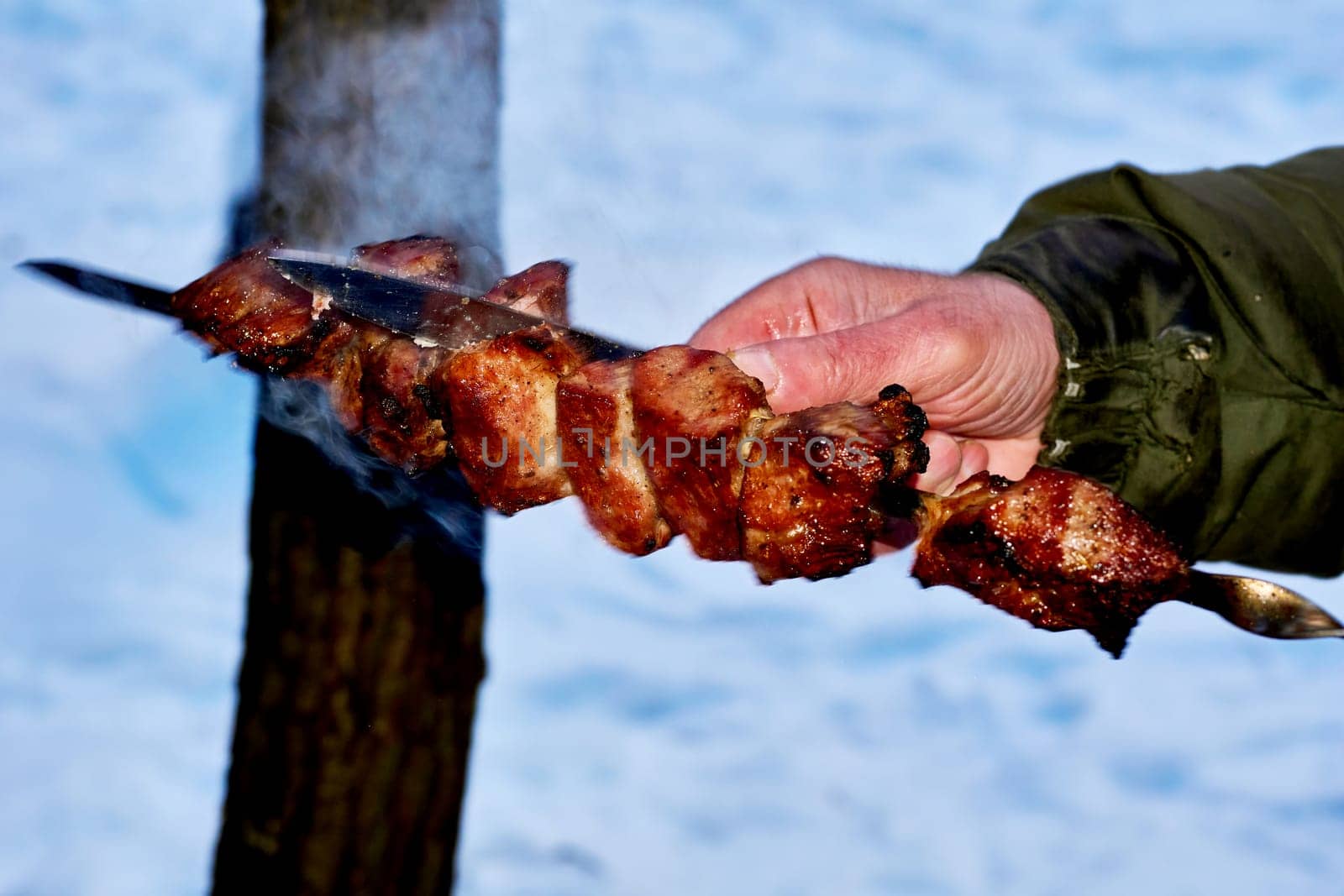 the flesh of an animal especially a mammal as food