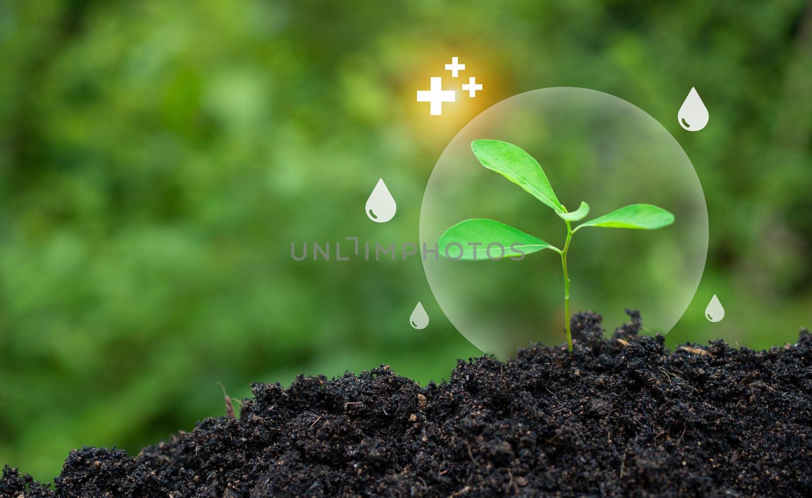 Trees and water droplets in the green forest. environment day and clean renewable energy water day environmental protection concept of protecting the earth's water resources