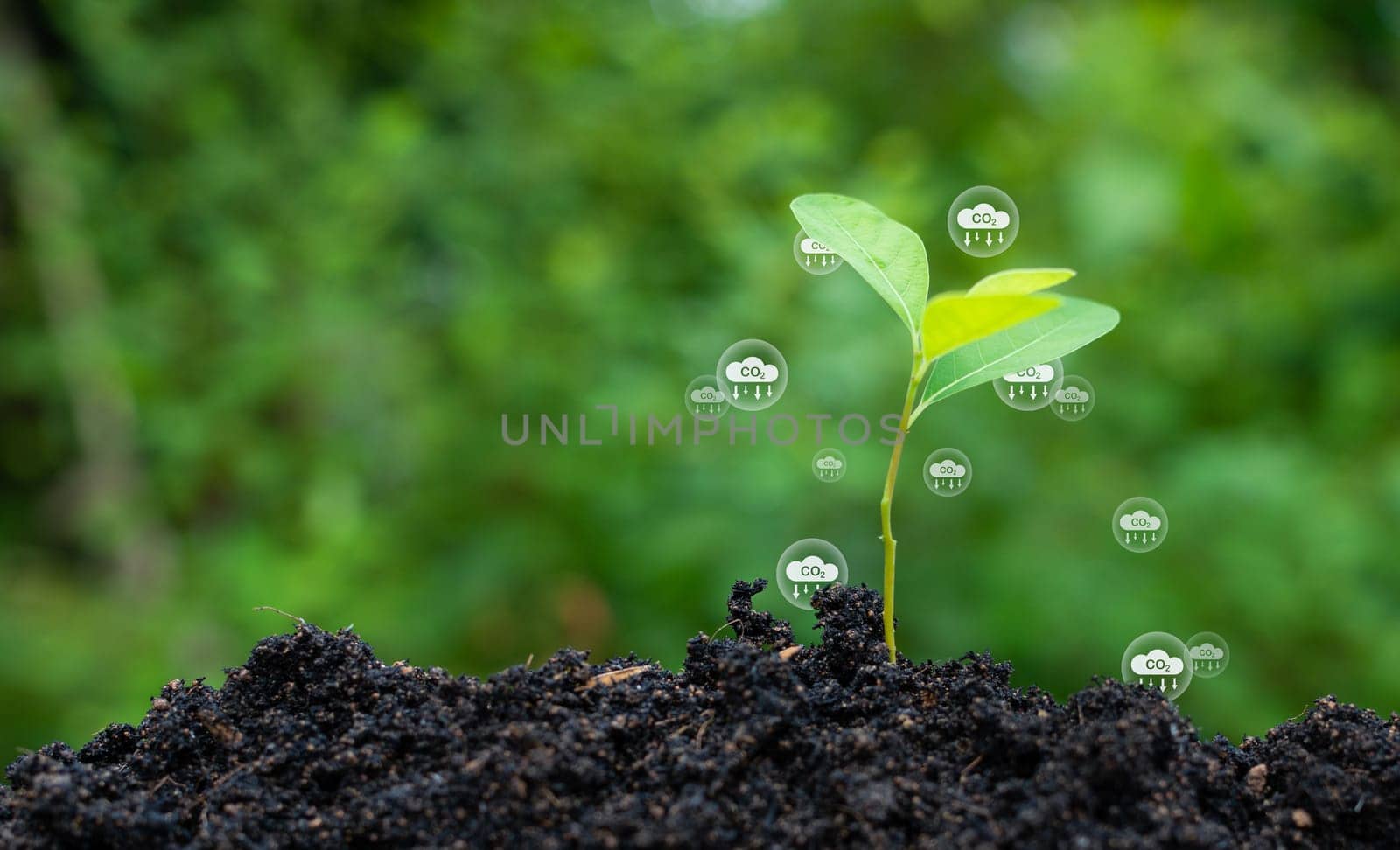 CO2 emission reduction concept, clean and friendly environment without carbon dioxide emissions. Planting trees to reduce CO2 emissions, environmental protection concept.