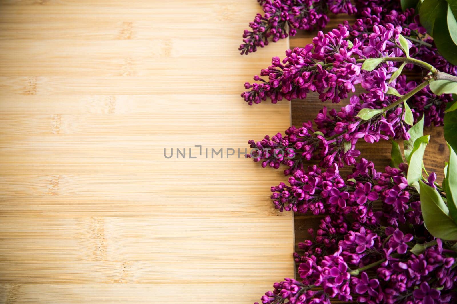 wooden background with branches of blooming beautiful lilac, empty space for text.