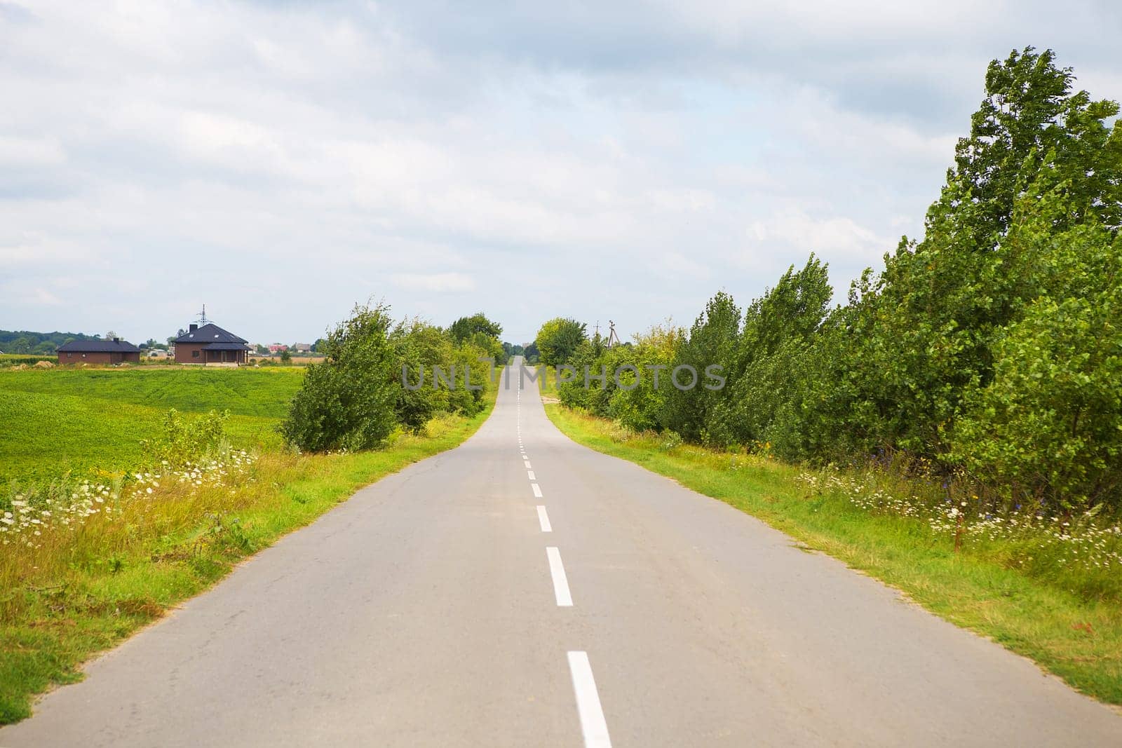 rural, asphalt road in a green field going out of the horizon