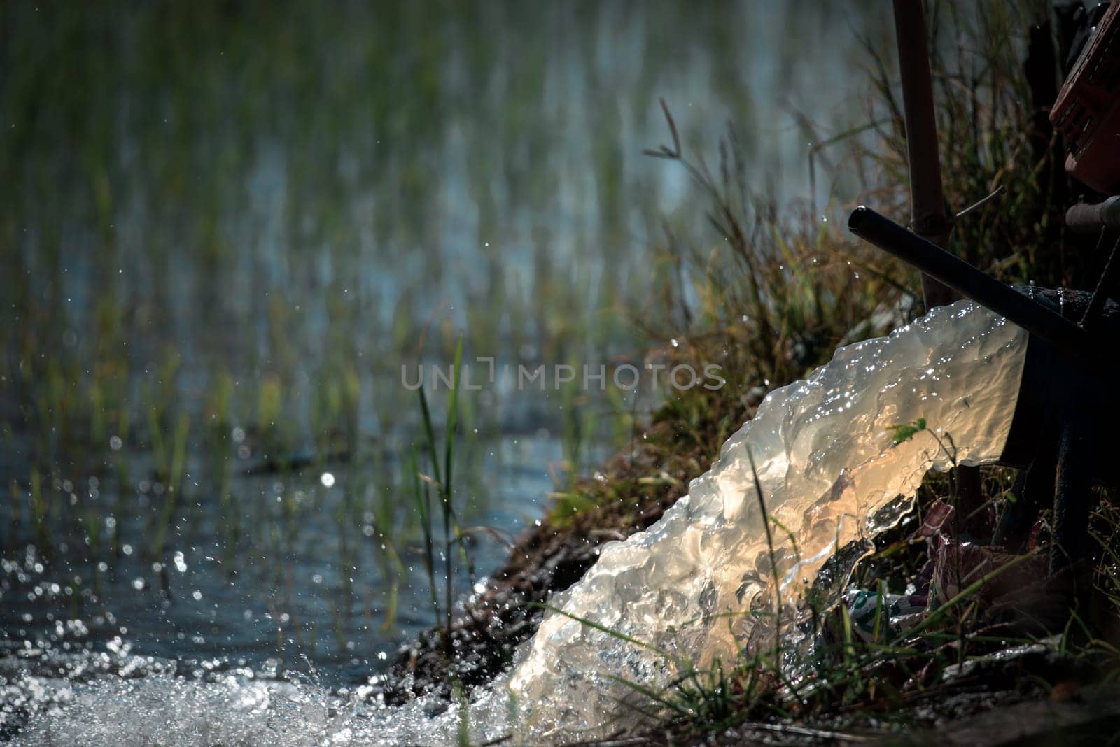 Watering nature of rice field on rice paddy by NongEngEng