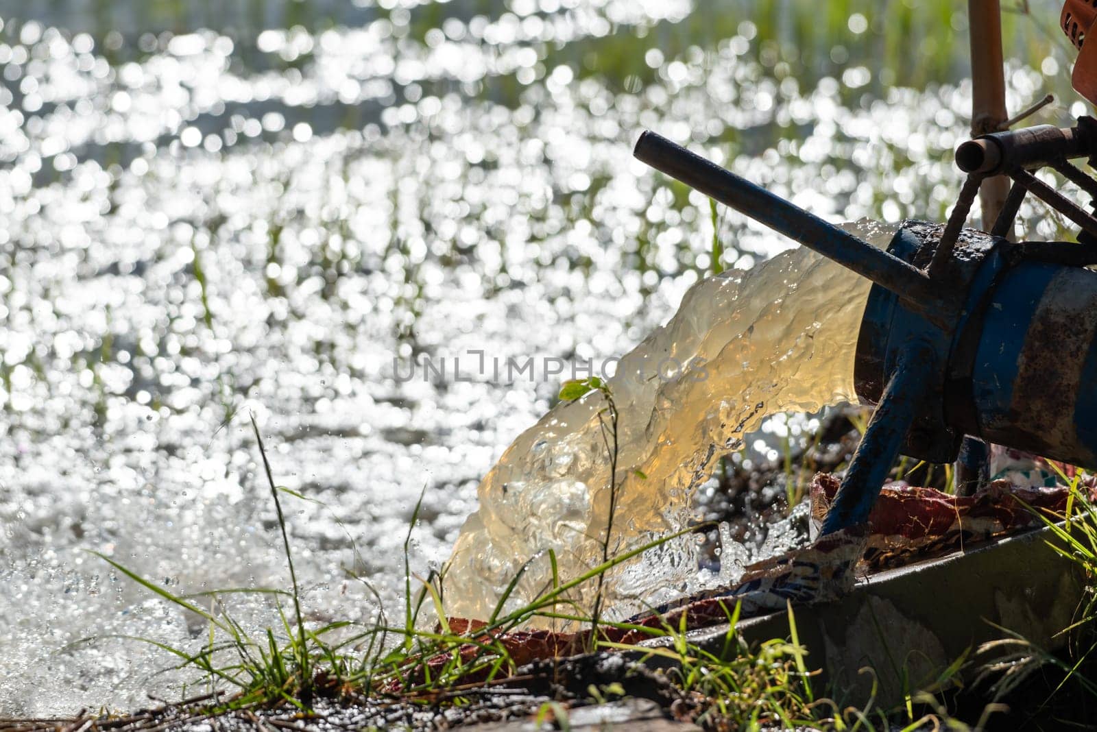 Watering nature of rice field on rice paddy by NongEngEng