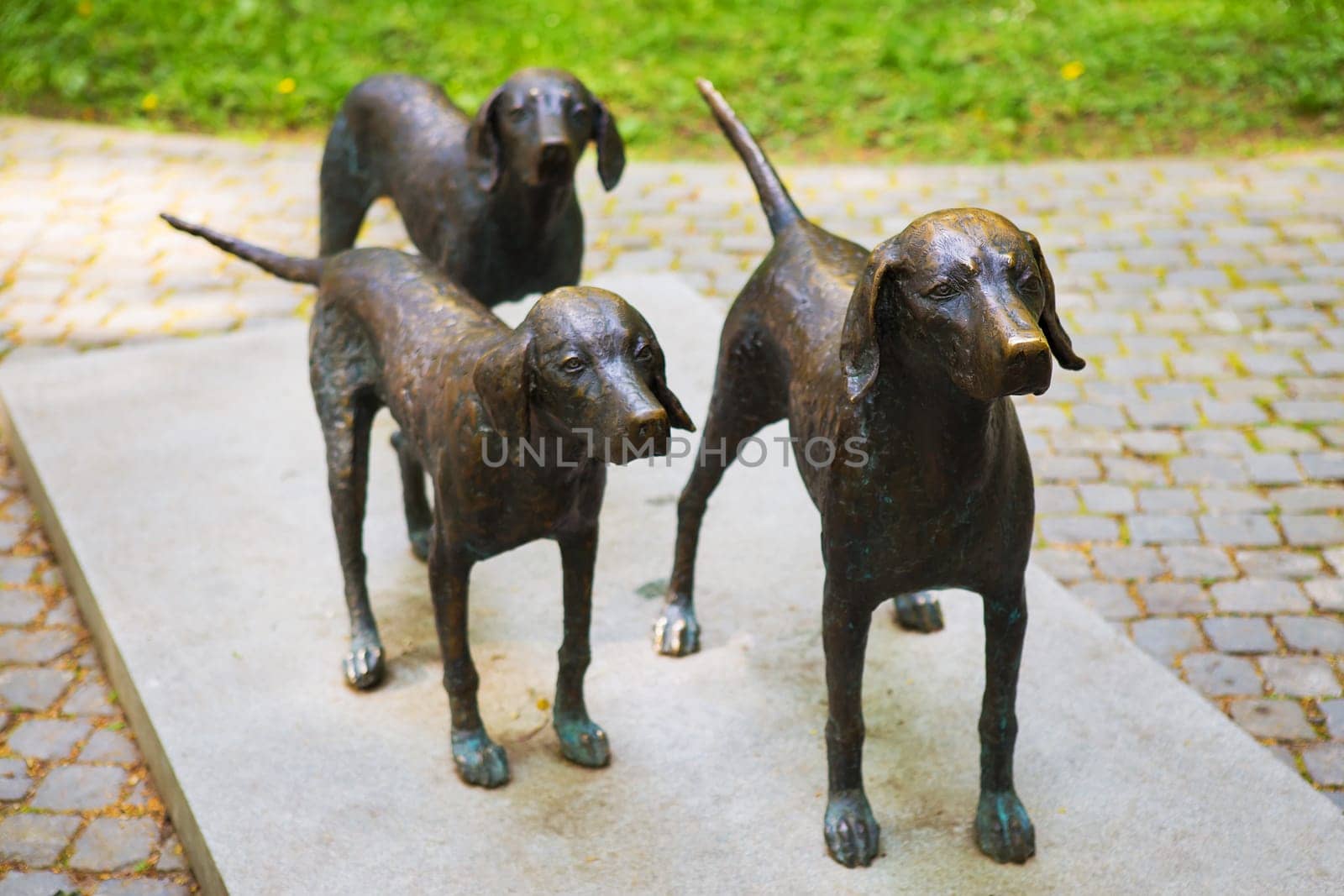 Vilnius, Lithuania - Monument to hunting dogs Lithuanian Shepherd Dog.