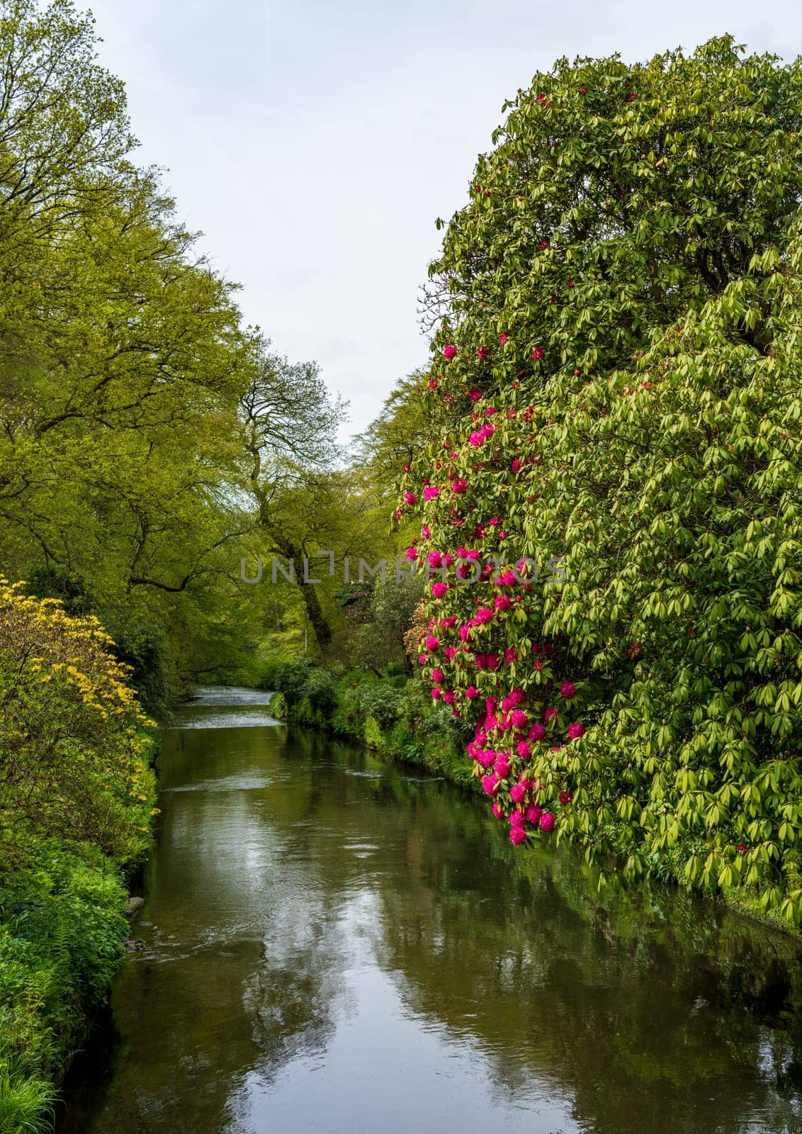 View up a valley in a natural park or gardenwith calm river in the North of England