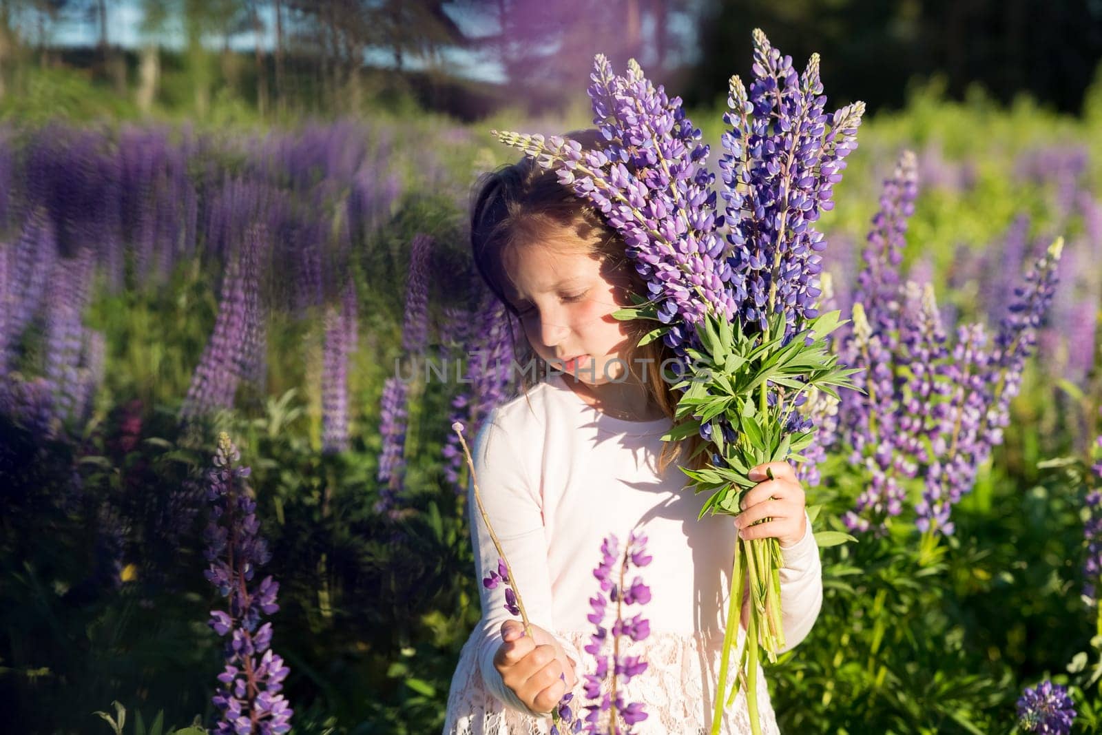 portrait of cute little happy two year old kid girl with bloom flowers lupines in field of purple flowers. nature outdoor.