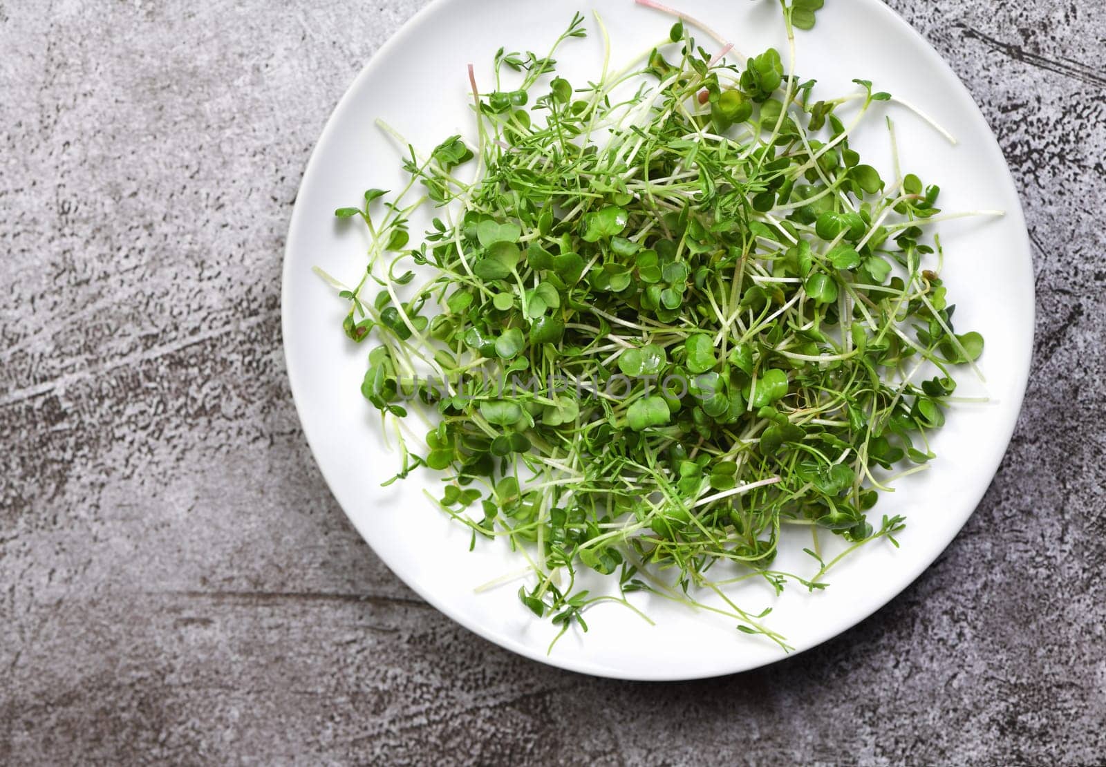 Plate with microgreens on a concrete table by Apolonia