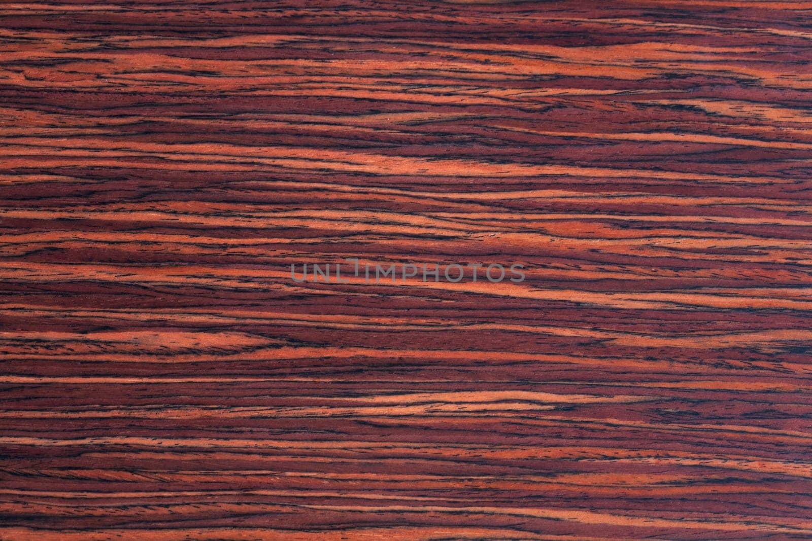 Wood Texture, WALNUT background. Dark brown texture