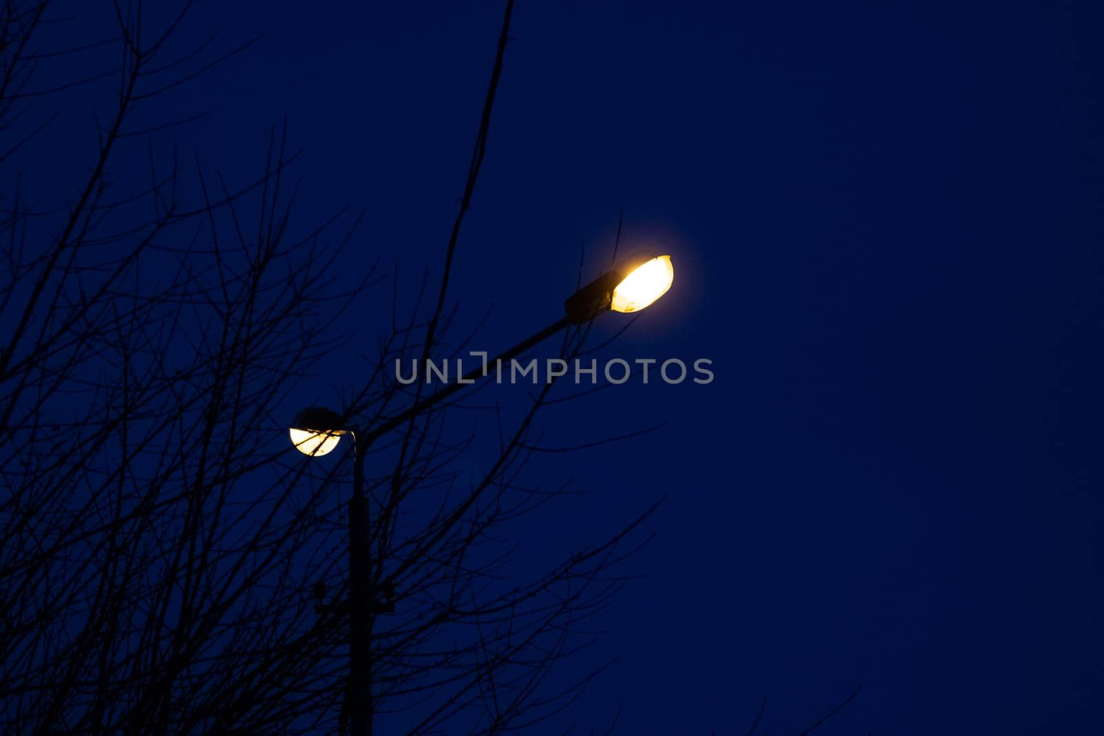 Two lamps of a street lamp on a background of blue night sky