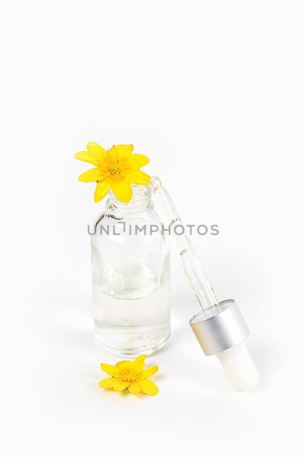 A bottle with a pipette serum on a white background among yellow spring flowers by galinasharapova