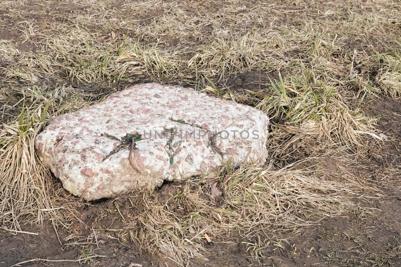 Big stone in yellow autumn grass close up