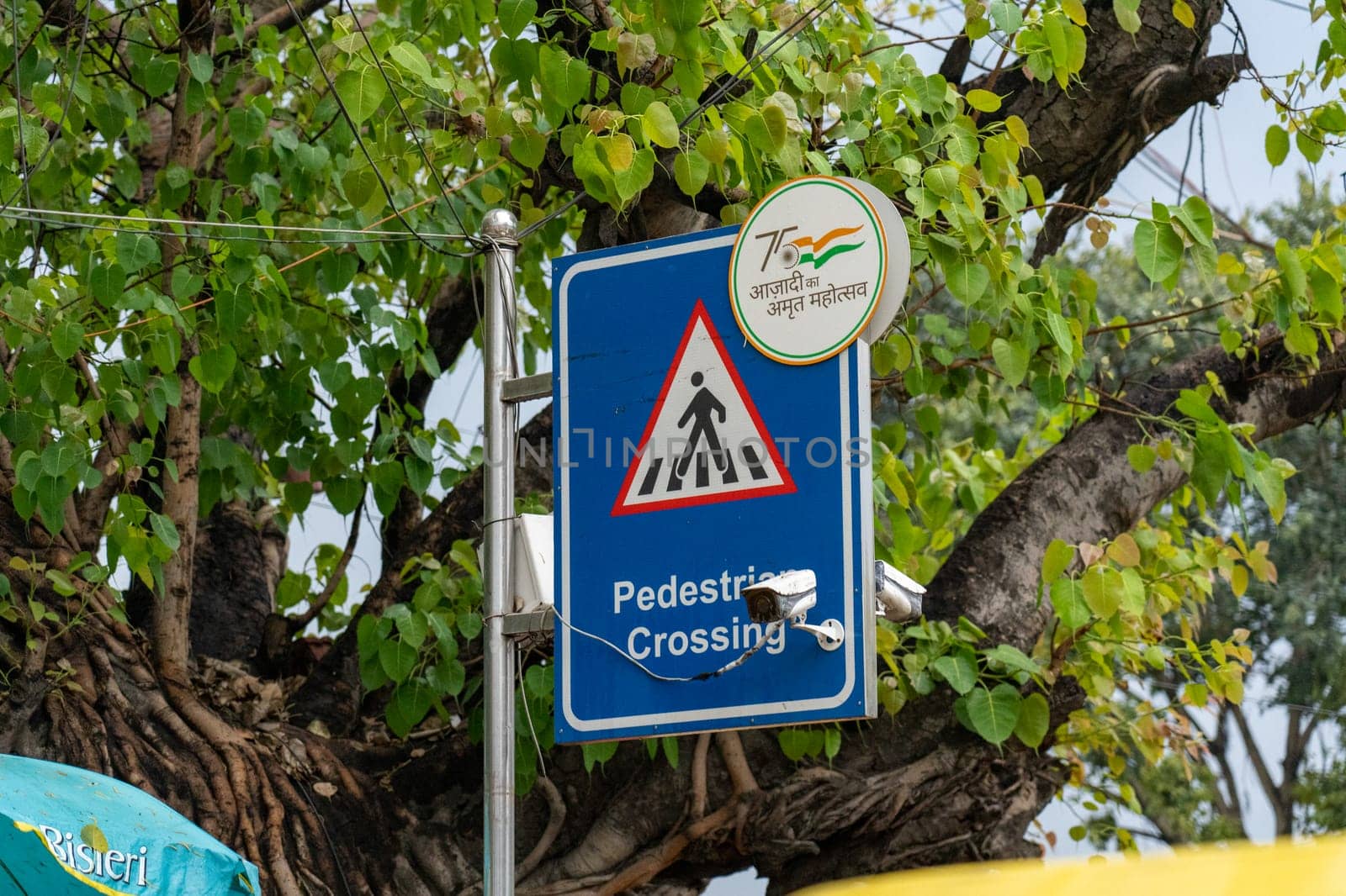 Pedestrian Crossing sign in Old Delhi, India by oliverfoerstner