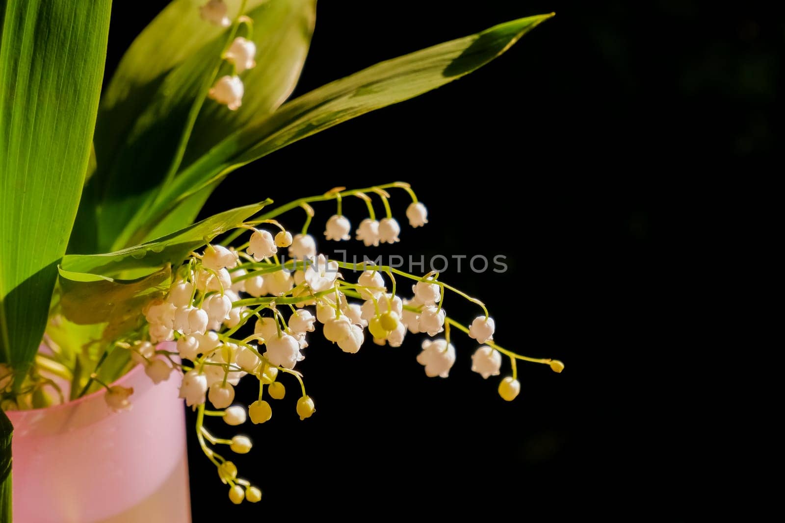 Bouquet of lilies of valley in vase on wooden table against background of green grass. Lily of valley.