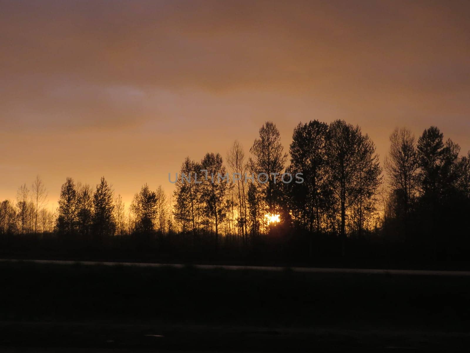 Fading Sunset along Oregon Freeway with Silhouette of Trees by grumblytumbleweed
