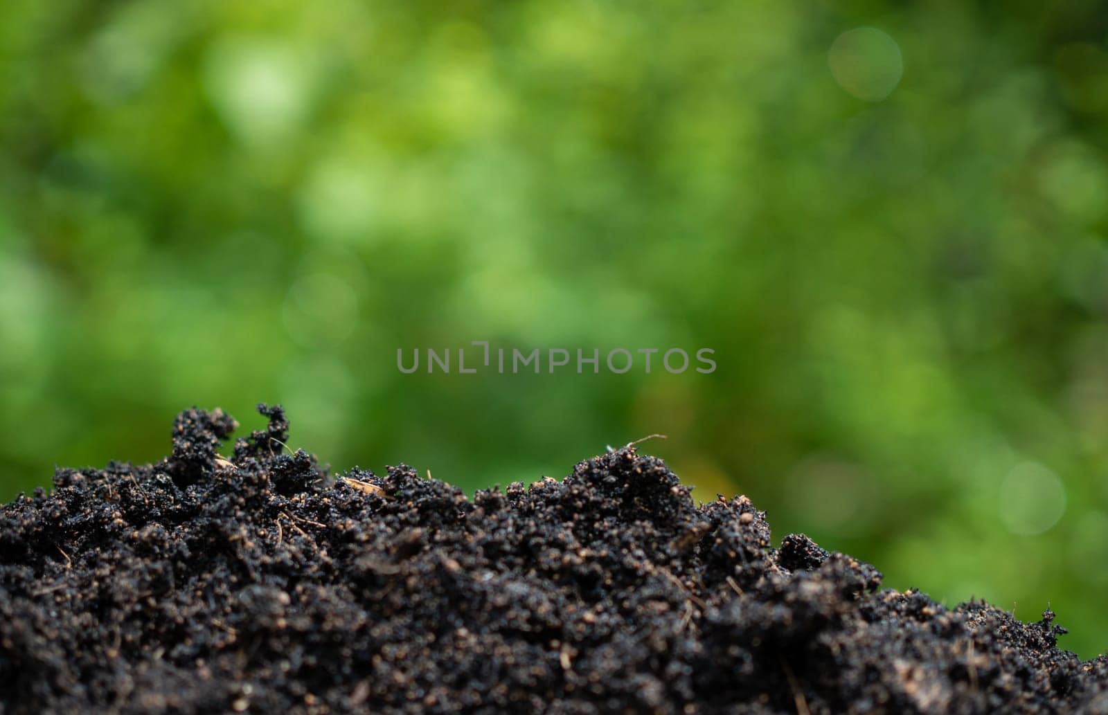 Background with soil and green from nature. Environmental protection concept, reforestation, CO2 reduction, recycle. by Unimages2527