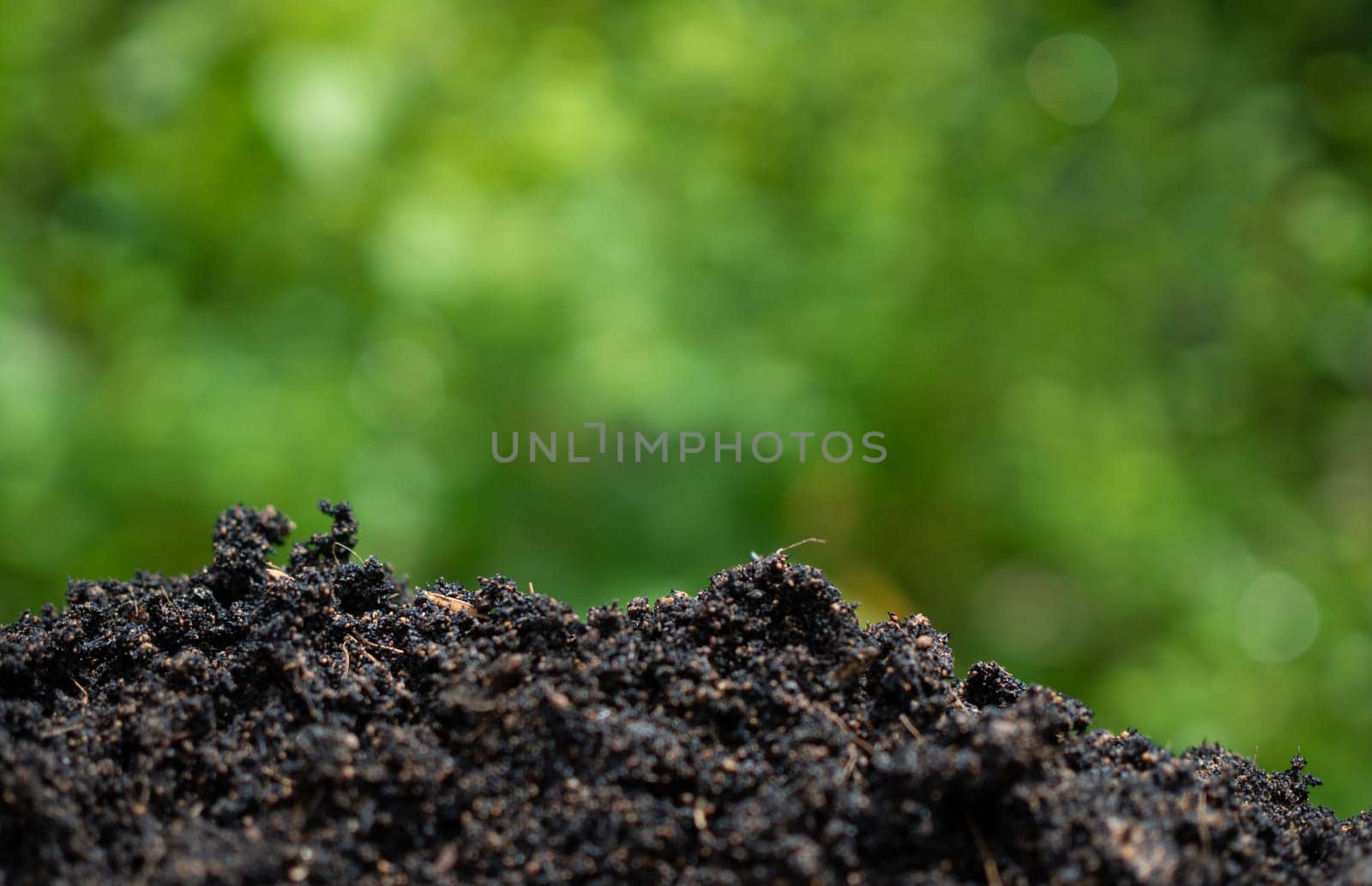 Background with soil and green from nature. Environmental protection concept, reforestation, CO2 reduction, recycle.