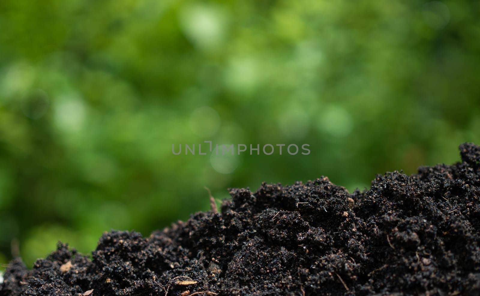 Background with soil and green from nature. Environmental protection concept, reforestation, CO2 reduction, recycle.