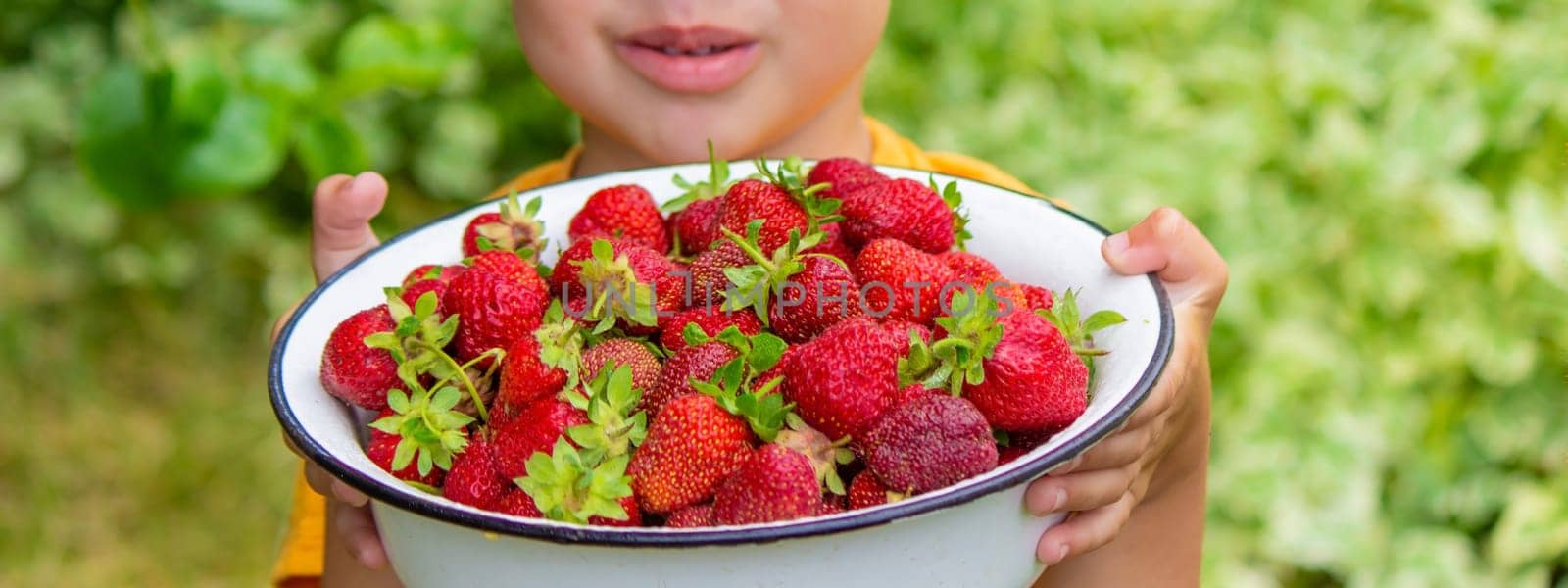 the boy is holding a bowl with freshly picked strawberries. Selective focus