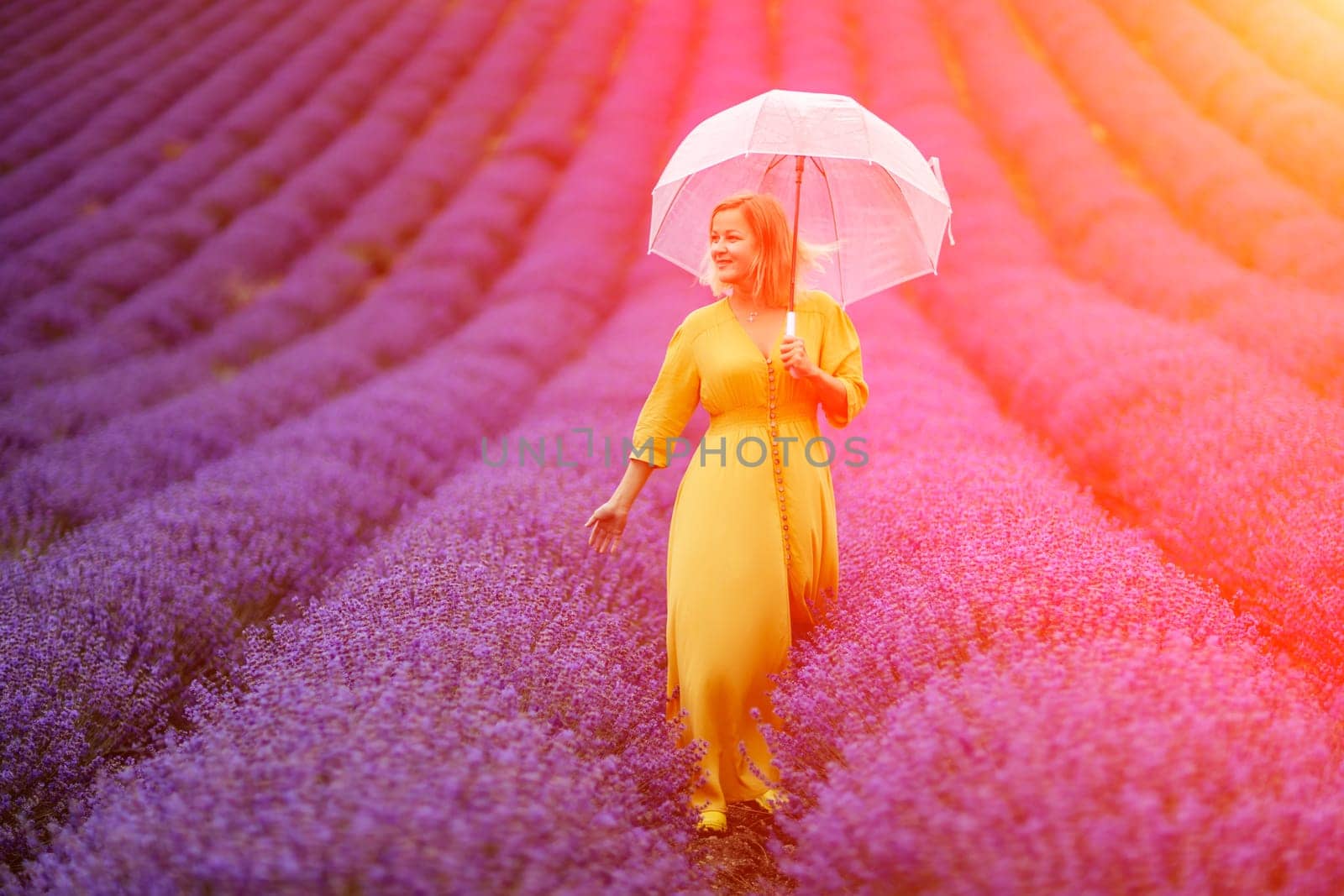 Woman lavender field. A middle-aged woman in a lavender field walks under an umbrella on a rainy day and enjoys aromatherapy. Aromatherapy concept, lavender oil, photo session in lavender by Matiunina