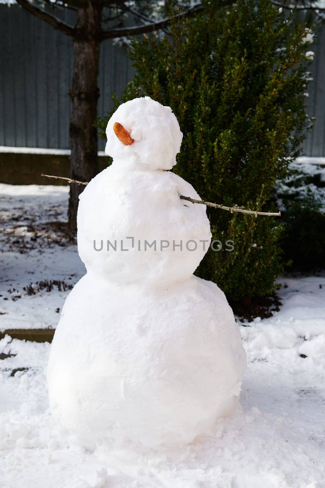 Snowman in a snow covered backyard over evergreen spruce background. Happy winter holidays. Wintertime. Christmastime by artgf