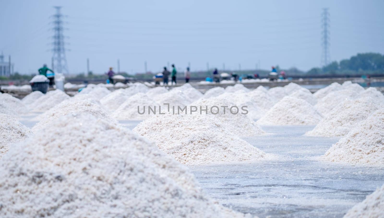 Sea salt farm and blur worker working on farm. Brine salt. Raw material of salt industrial. Sodium Chloride. Evaporation and crystallization of sea water. White salt harvesting. Agriculture industry. by Fahroni