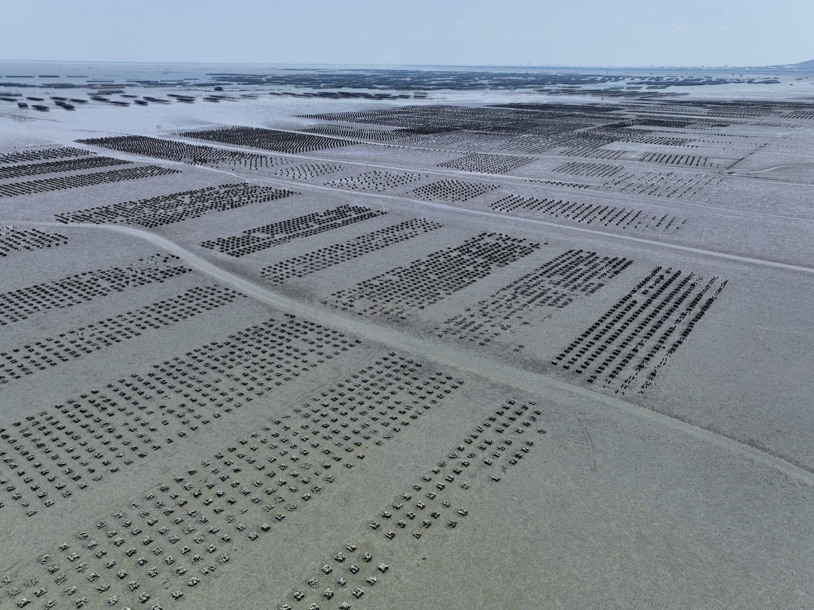 Aerial view of Oyster farm. Sustainable farming. Oyster farming is an aquaculture practice. Oyster farming at Ang Sila town, Chonburi, Thailand. Landscape oyster beds at low tide on summer sunny day.