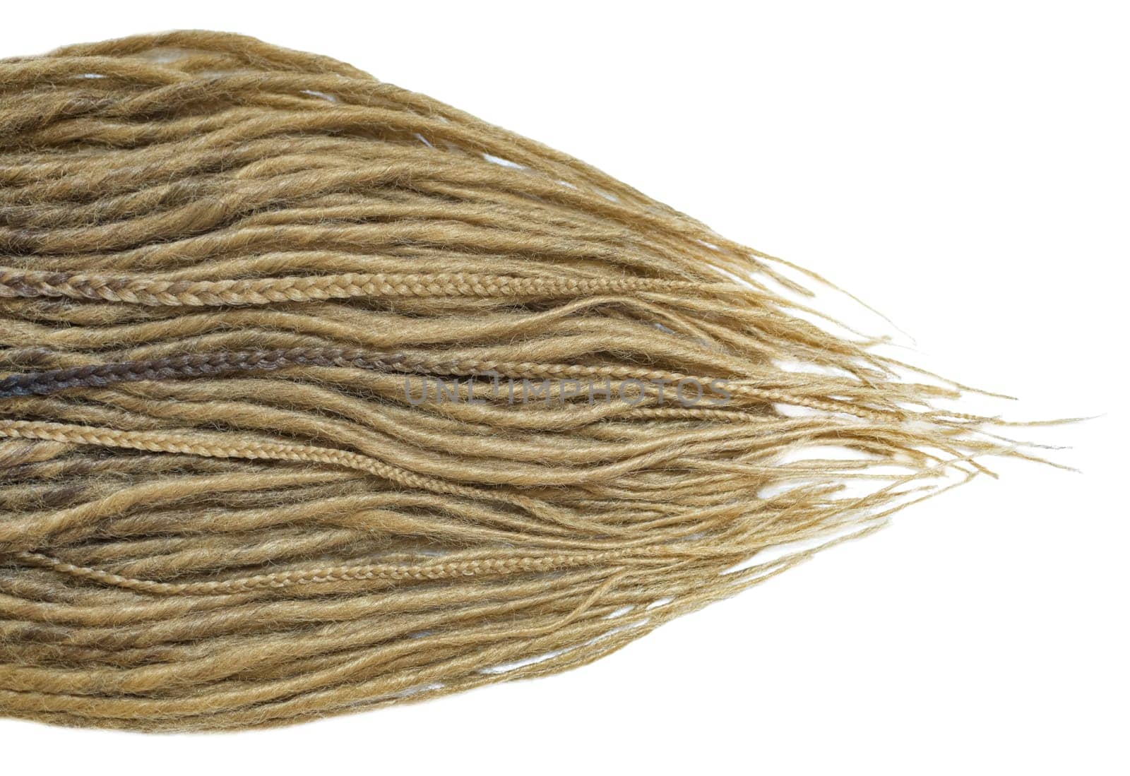 Dreadlocks are laid out on a white background and taper to the ends. Blonde braids on a white background at close range by Renisons