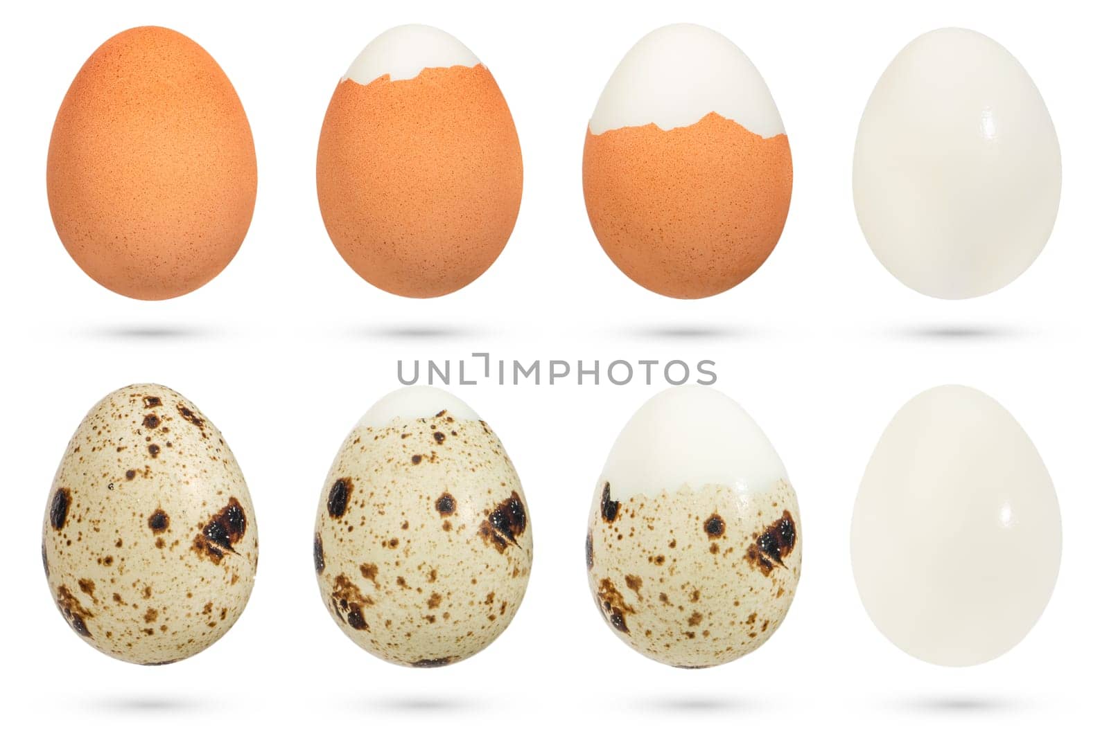 Quail and chicken eggs. The process of cleaning boiled eggs from the shell on a white isolated background. Eggs with varying amounts of shells. The concept of healthy and diet food. by SERSOL