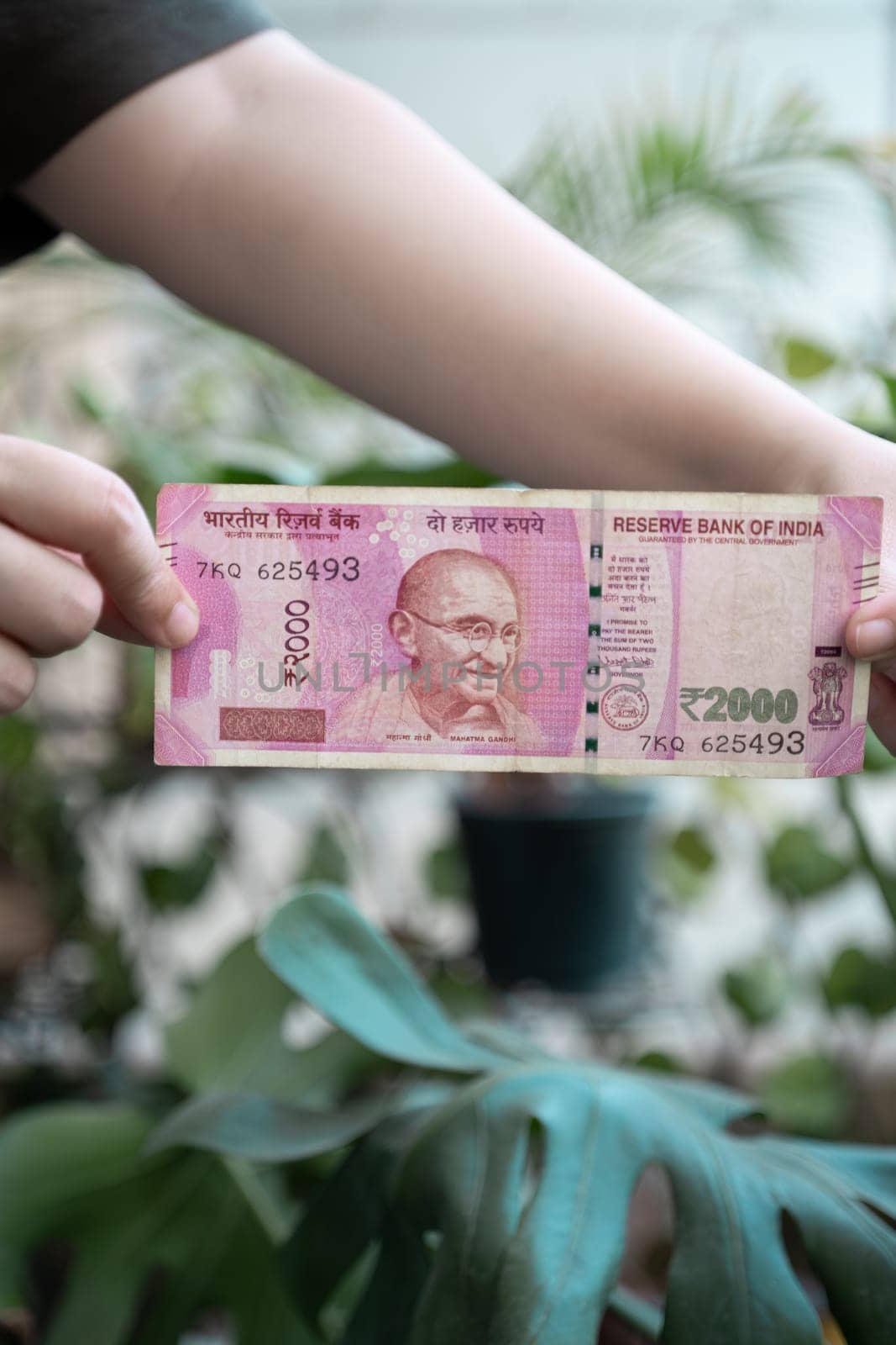 Woman holding a Rs 2000 Indian bank note that has been removed from circulation through demonitization to reduce black money by Shalinimathur