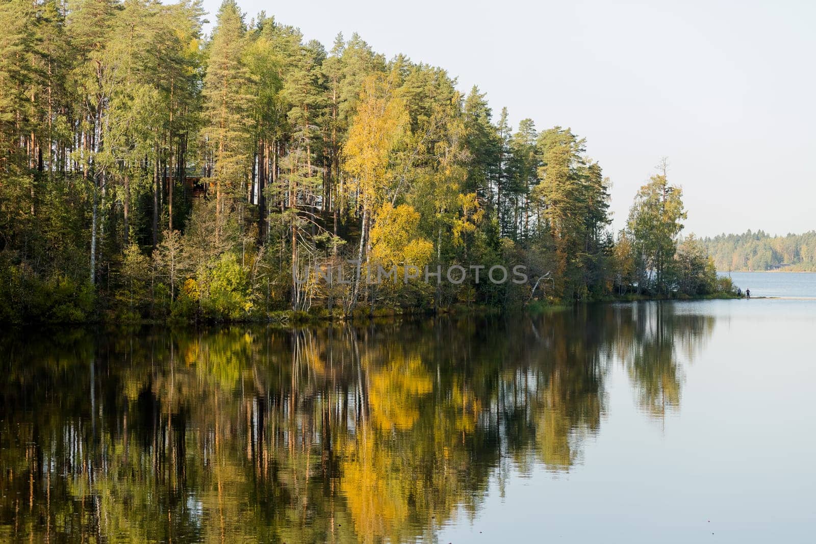 Autumn lake on dark background. Cloudy sky over autumn lake