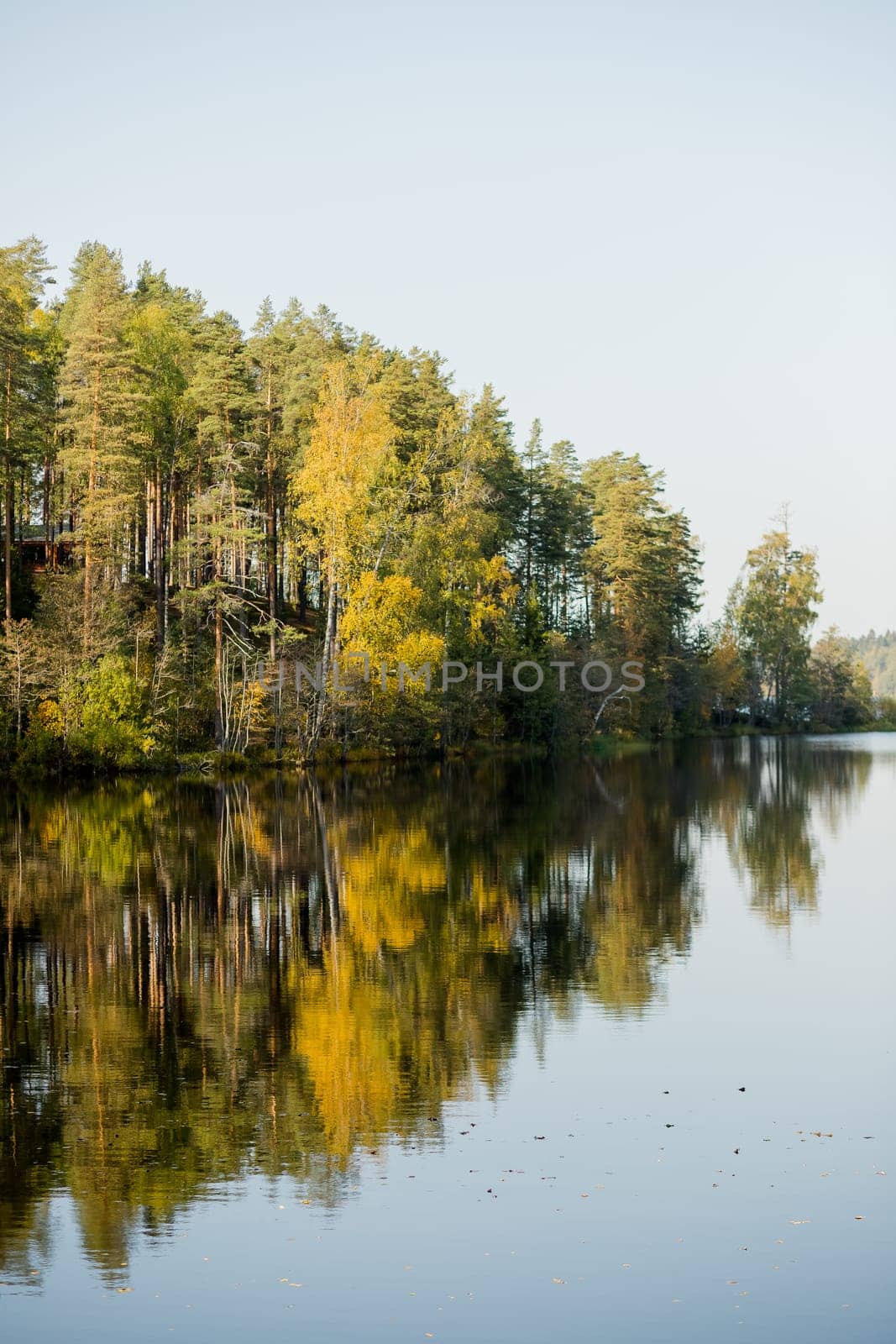 Autumn lake on dark background. Cloudy sky over autumn lake