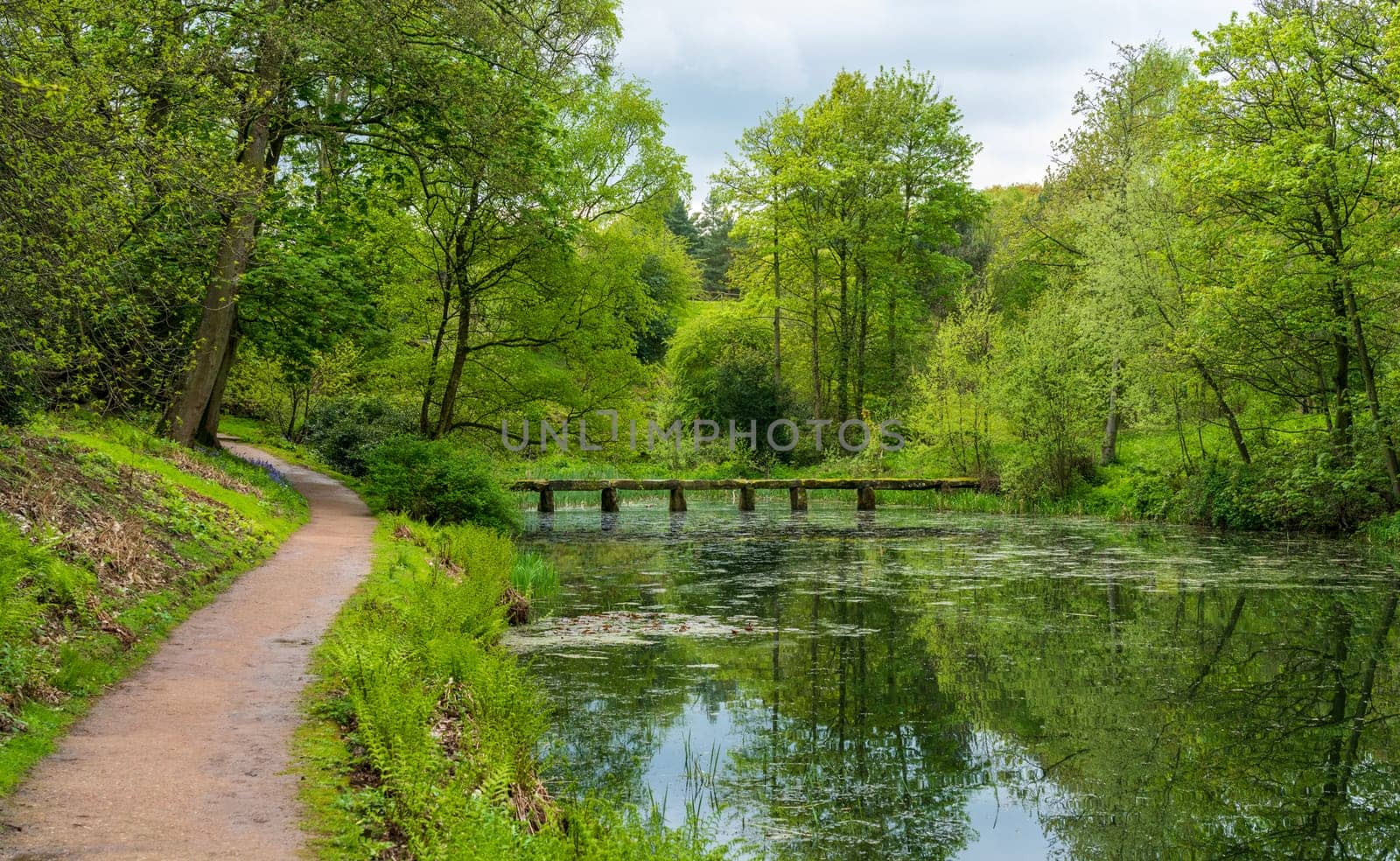 Stone slab bridge across calm river in English parkland by steheap