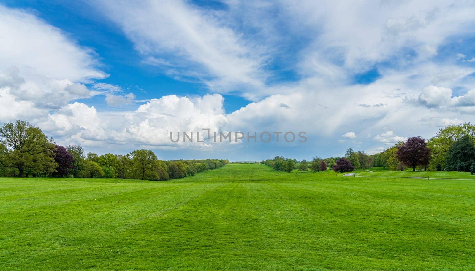 Wide parkland in England with dramatic sky by steheap