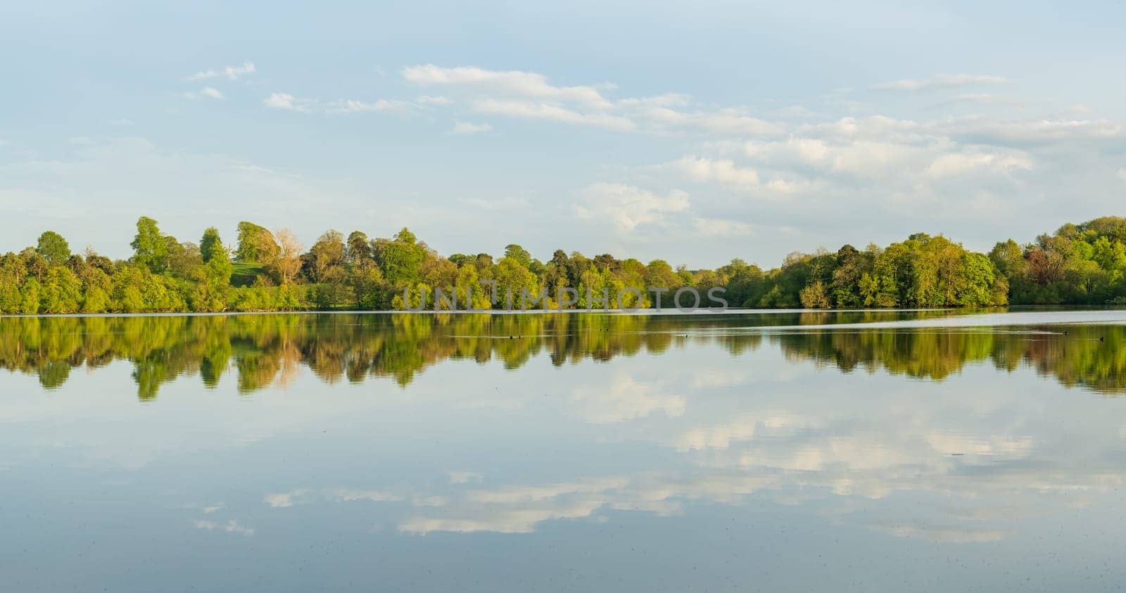 View across the Mere to a clear reflection of distant trees in Ellesmere by steheap