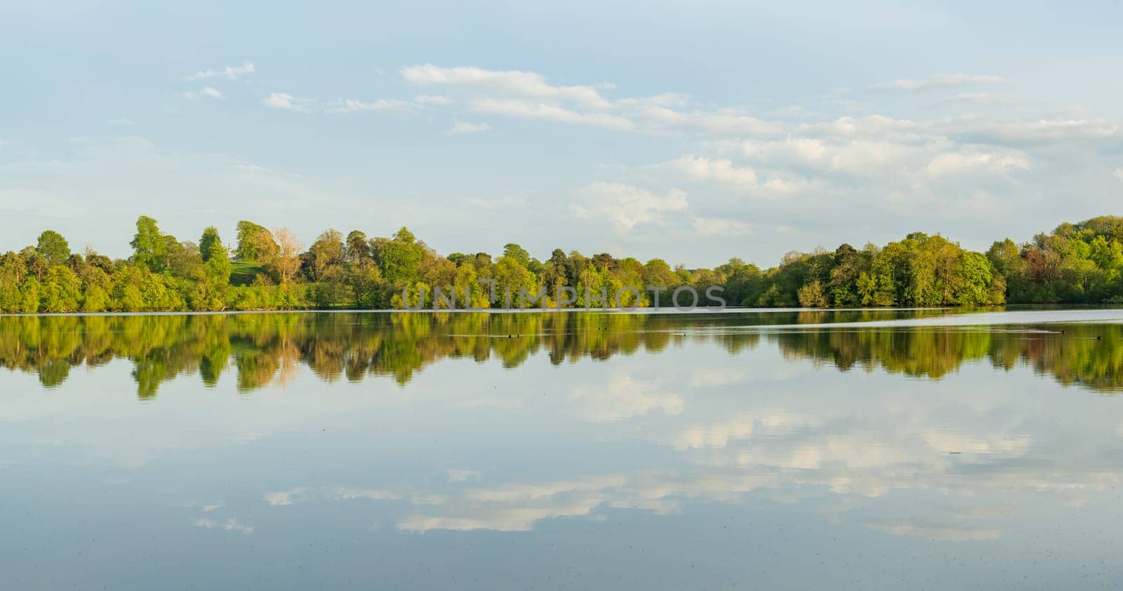 Panorama of the lake shore of the Mere with a perfect lake reflection in Ellesmere in Shropshire