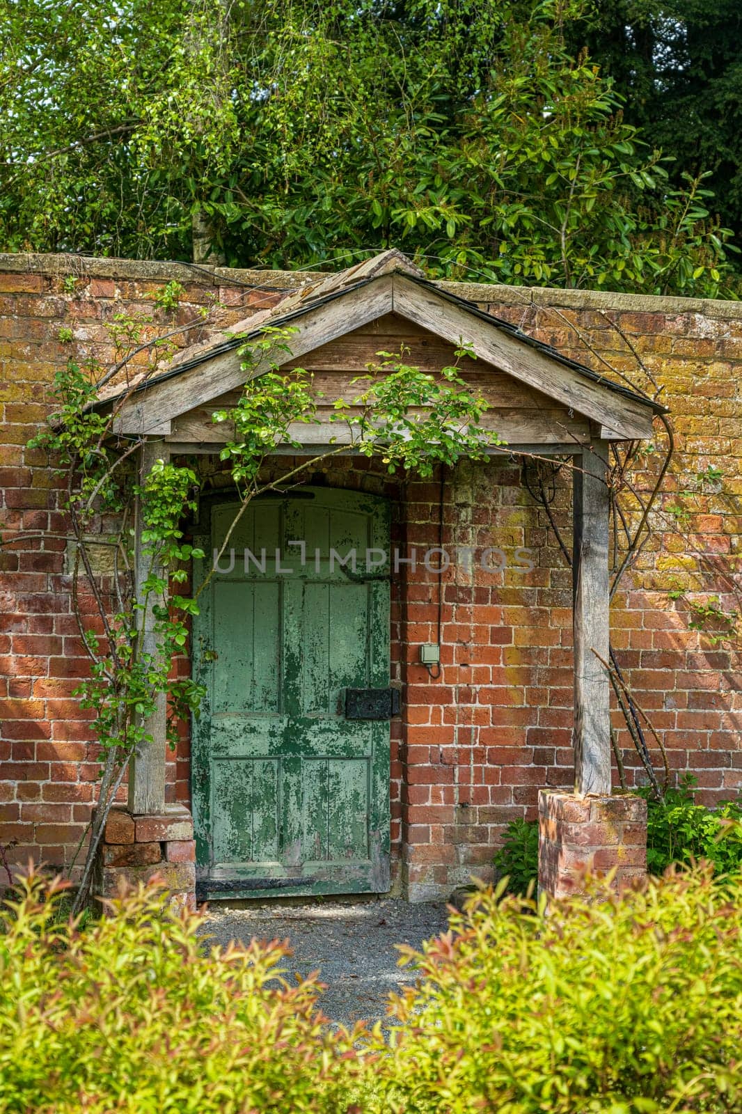 Painted green door and wooden porch as entrance to walled garden made with brick