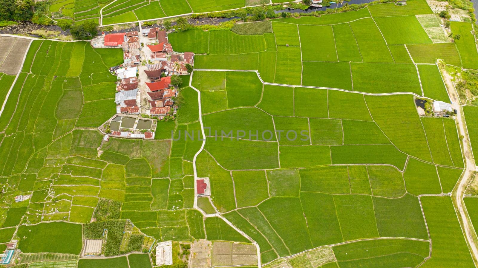 Aerial view of farmland with planting vegetables. Agricultural landscape in Sumatra, Indonesia.