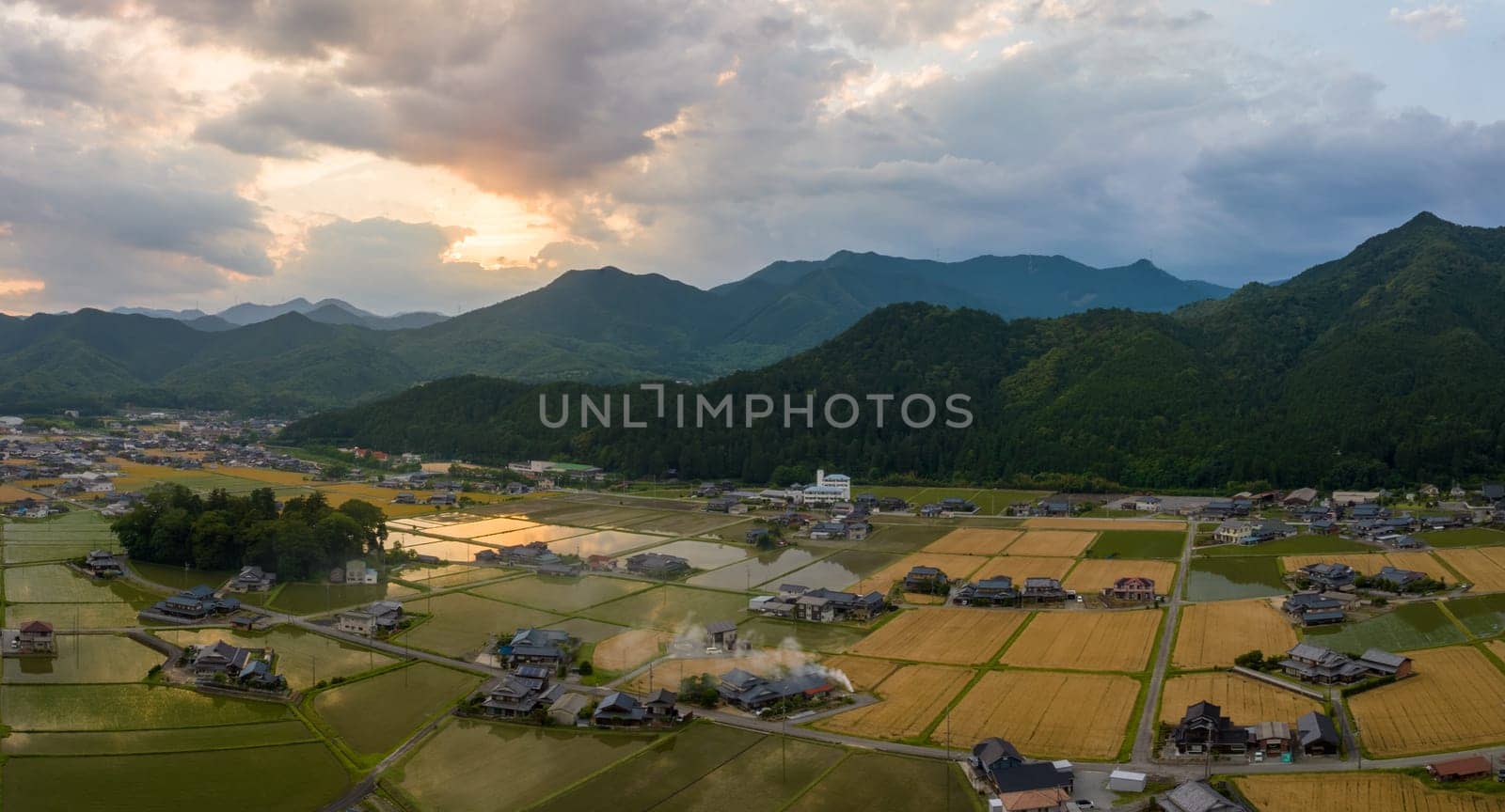 Beautiful sunset reflects off water in rice fields by wheat in village by mountains by Osaze