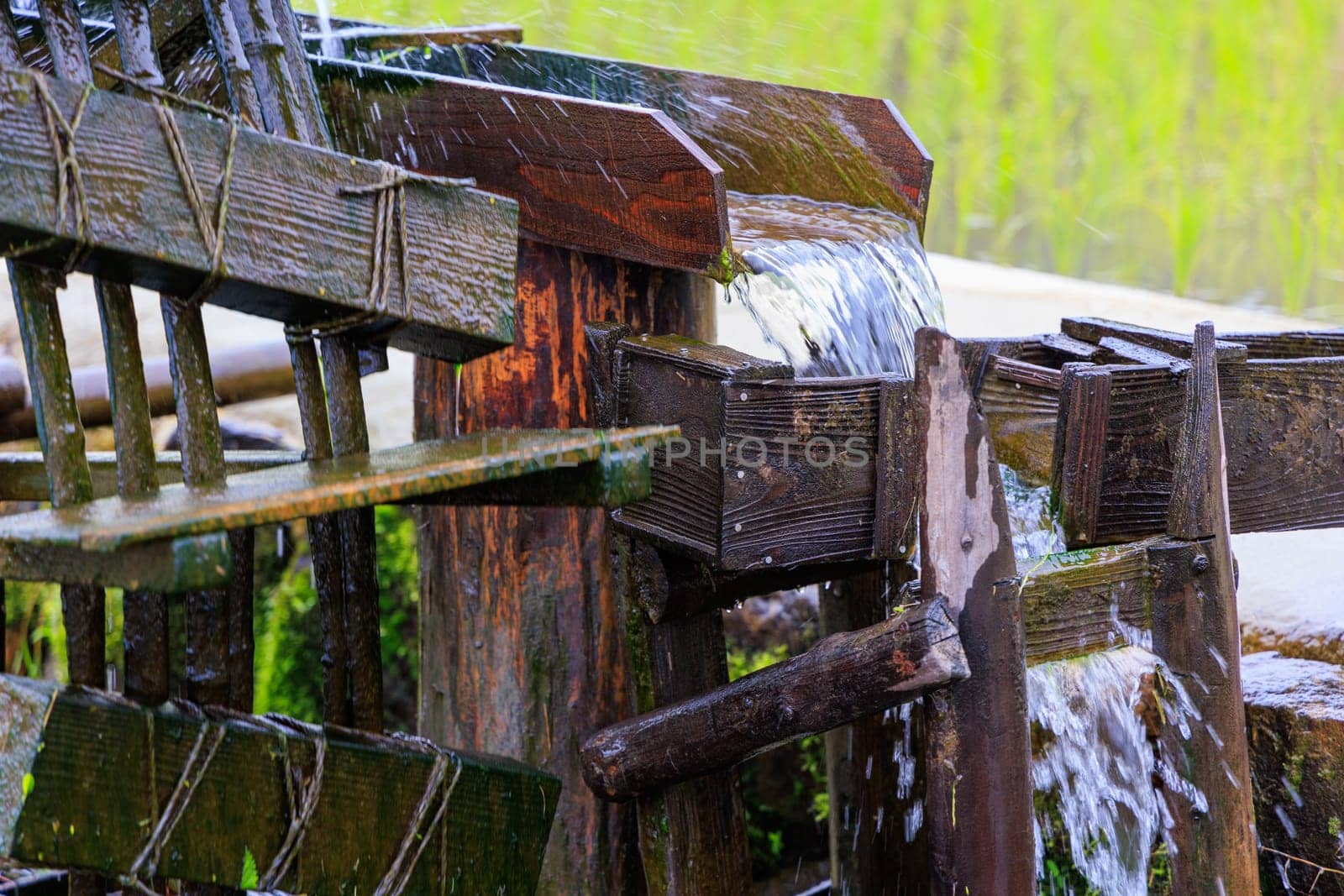 Ancient wooden irrigation conveyor transports flowing water to rice fields. High quality photo