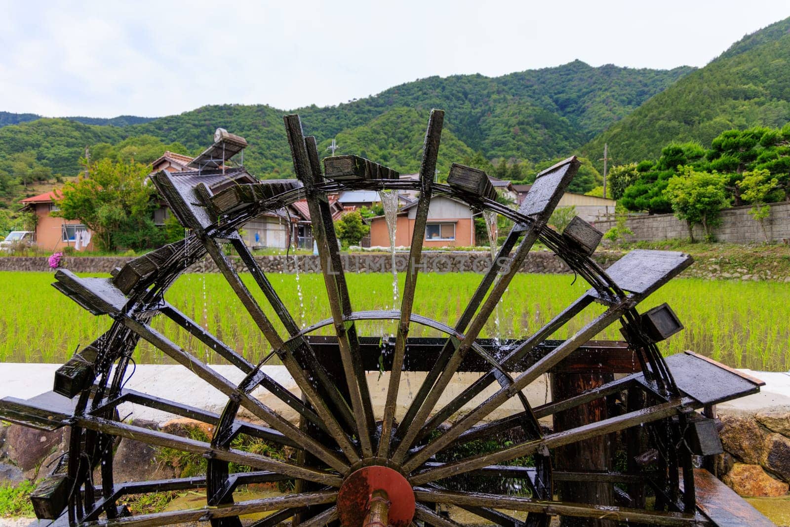 Historic water wheel by rice field in Japanese countryside. High quality photo