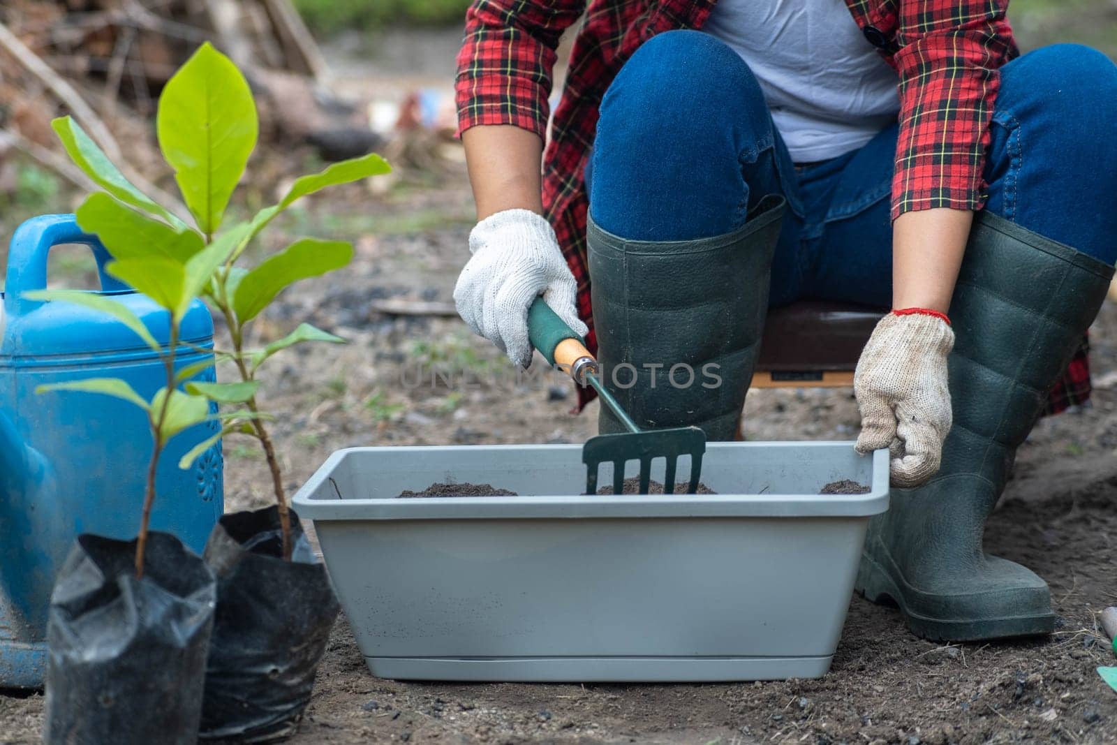 Woman's hands transplanting plant from a bag of seedlings to a new pot. Female gardener planting seedlings in pots with soil. Gardening and growing vegetables at home. by TEERASAK