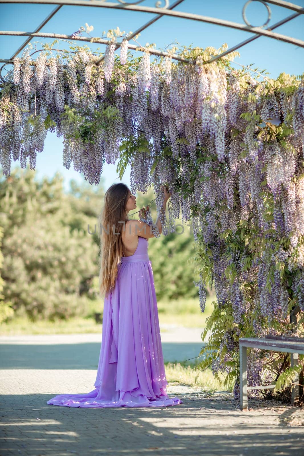 Woman wisteria lilac dress. Thoughtful happy mature woman in purple dress surrounded by chinese wisteria by Matiunina