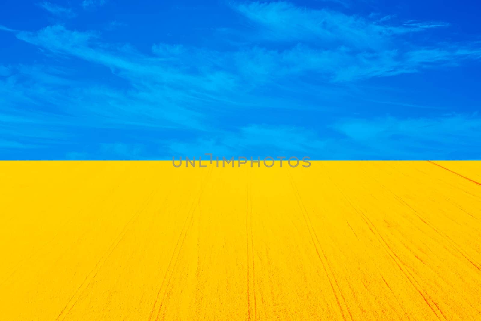 Wonderful bright symbols of flag of Ukraine