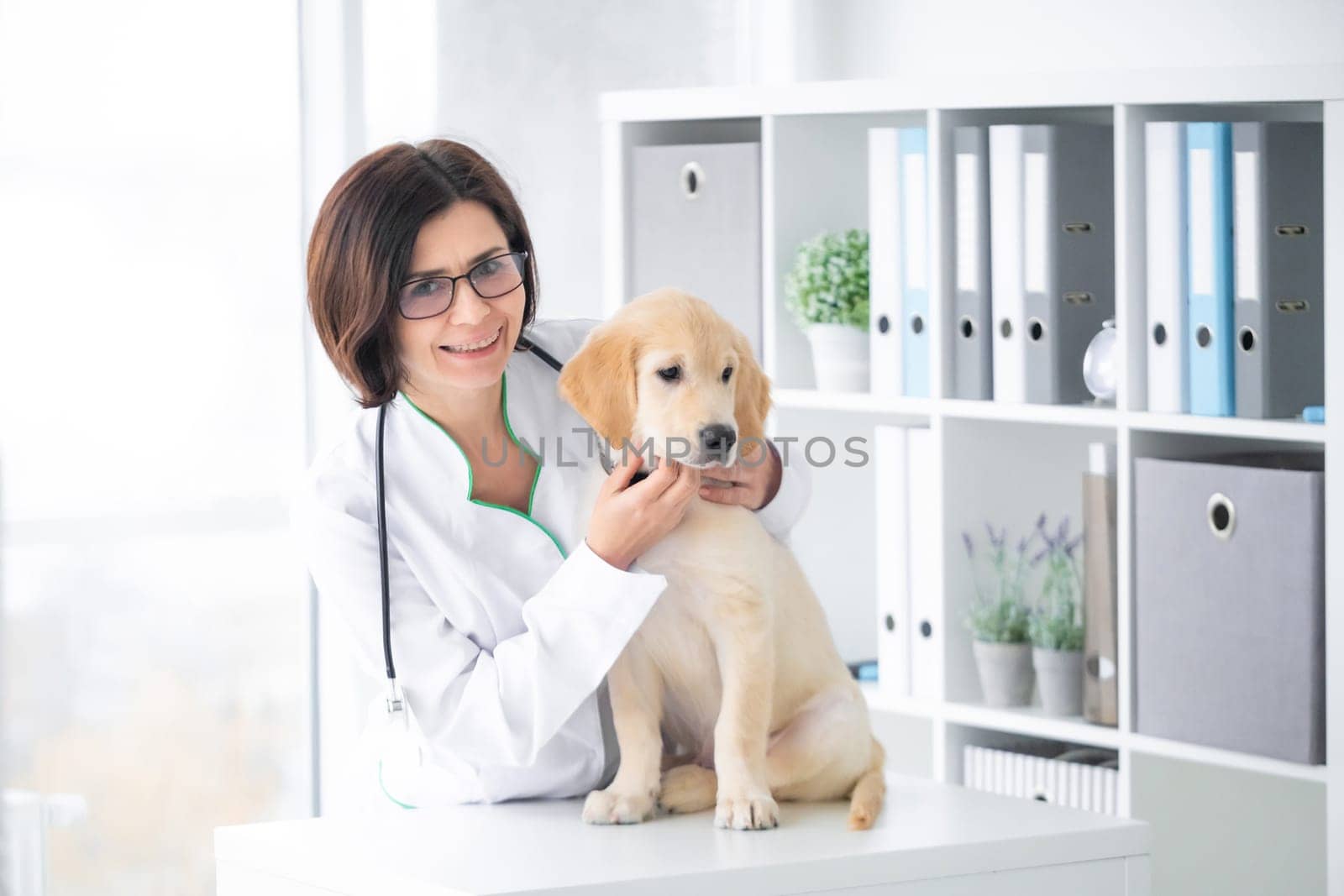 Smiling veterinarian with young dog in clinic