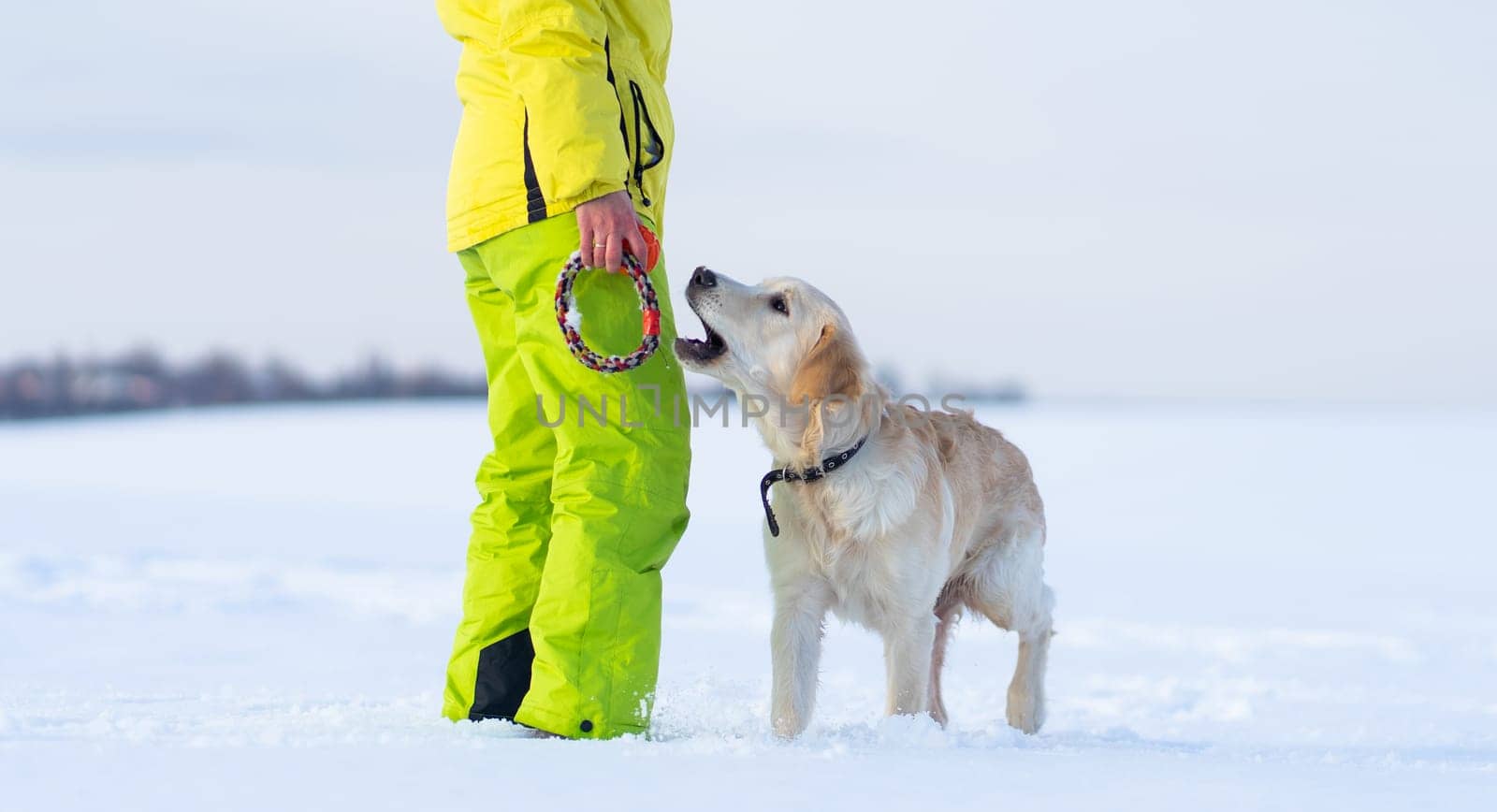 Female legs and dog in sparkling snow